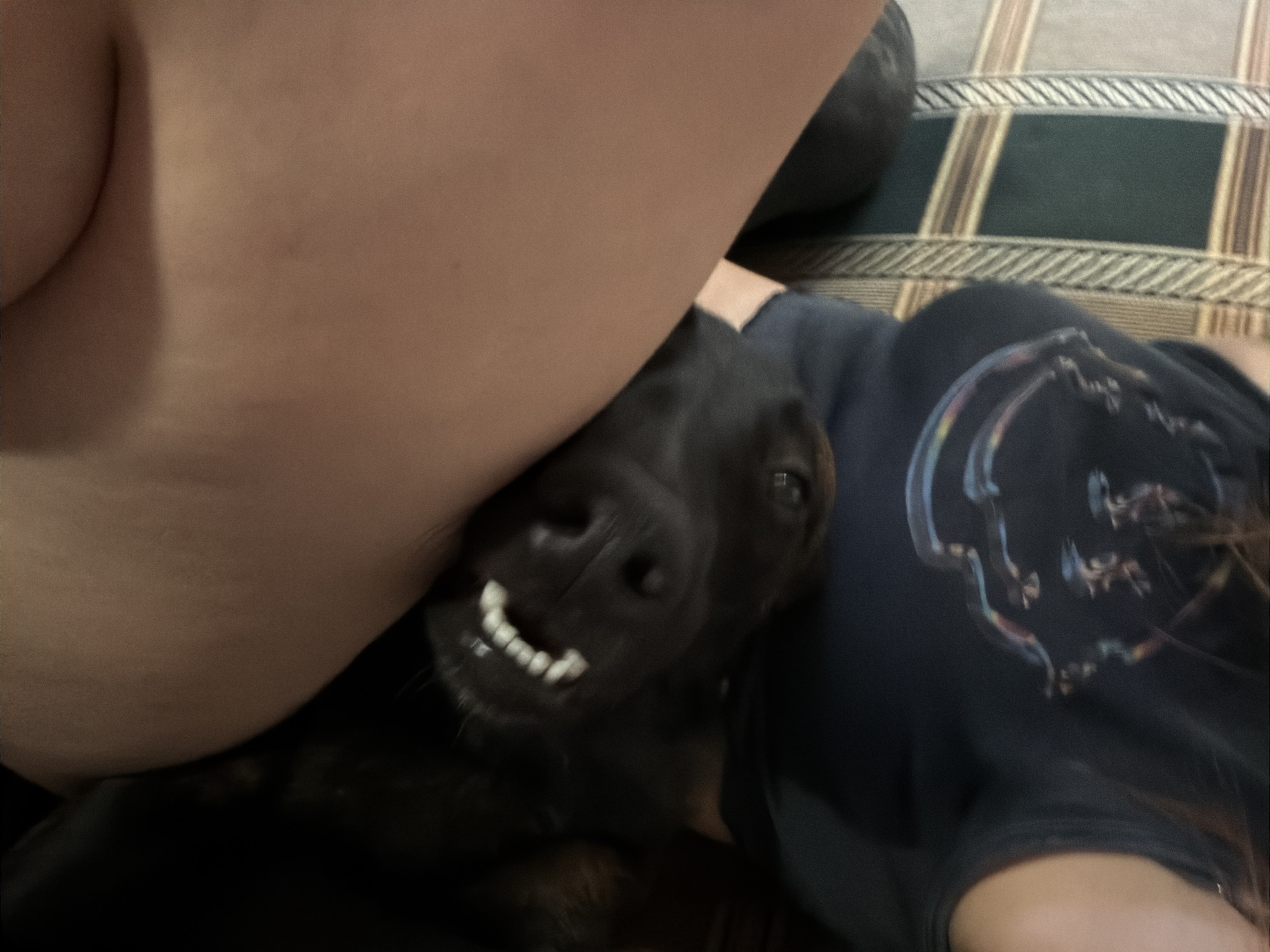 A person is sitting on a couch with a black dog. The person is wearing a dark t-shirt with a graphic design. The dog is lying down, with its head resting on the person's leg, and its mouth is open, showing its teeth. The couch has a striped pattern of green and tan. The image appears to be taken indoors, possibly in a living room. The city of Rostov-on-Don is not visible in the image.
