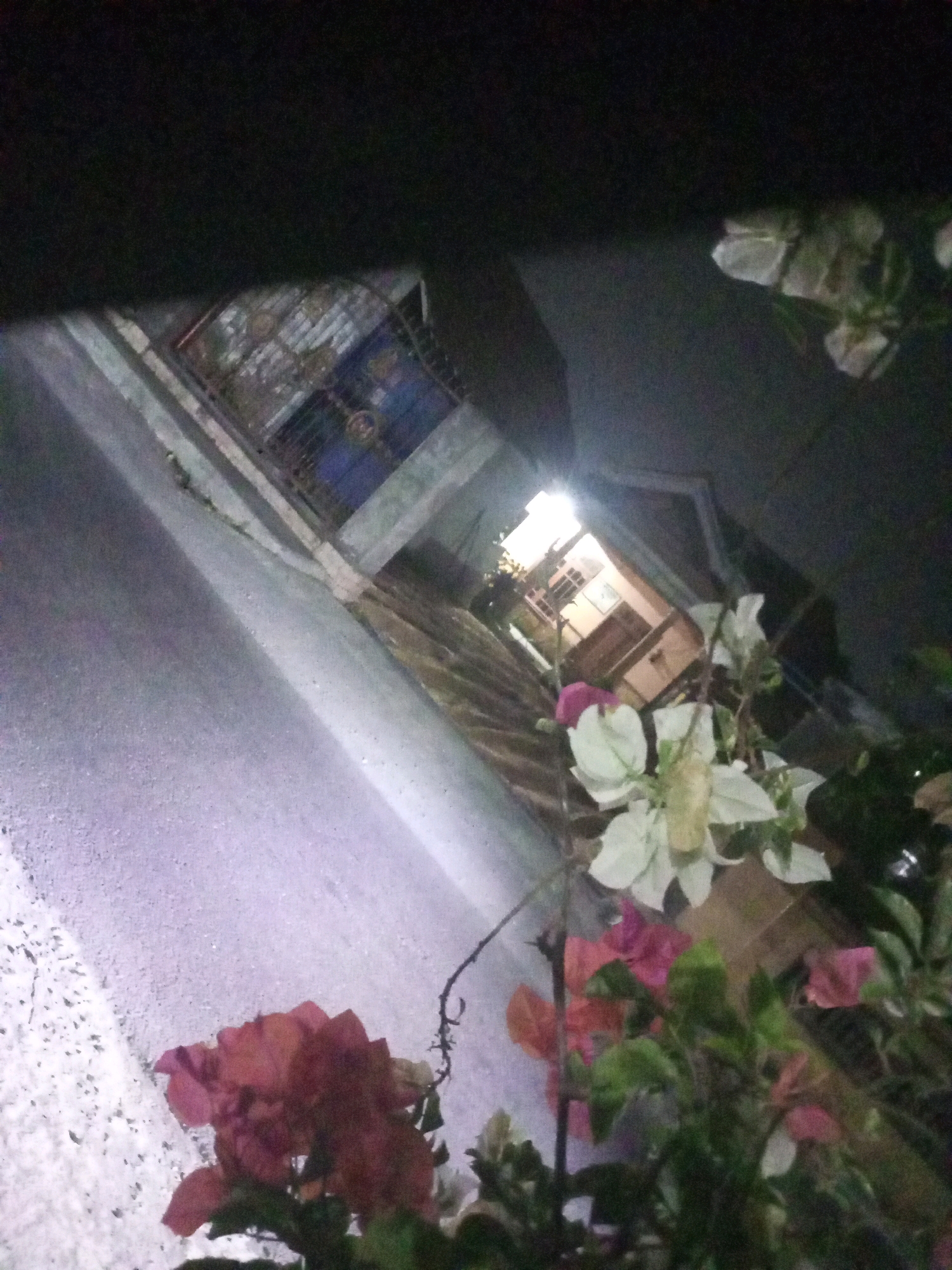 In Ngasem, Indonesia, an upward angled shot captures a dimly lit courtyard with a focus on flowering plants in the foreground. To the left, a textured, pale wall is visible, possibly a building facade. The center of the image reveals a passage leading upwards, with an illuminated opening at the top suggesting a room or exit. A blue metal gate with ornamental details is positioned halfway up the passage. In the immediate foreground, vibrant pink, red, and white bougainvillea flowers are in bloom, with green foliage present. The overall scene appears to be an outdoor area, possibly a residential courtyard or alleyway at night or in low light conditions.