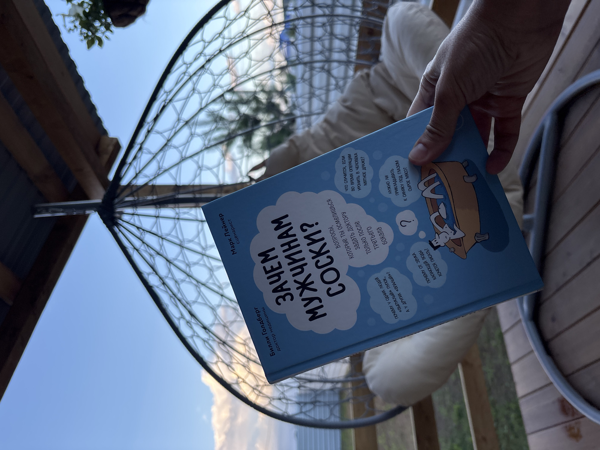 The image shows a book held by a person's hand, angled against a backdrop of a clear blue sky with some scattered clouds. The book has a light blue cover with a cartoon illustration and text in Russian. The title of the book, prominently displayed, appears to be "Зачем мужчинам соски?" which translates to "Why do men need pacifiers?". The cover also features smaller text indicating authors and other details, possibly related to the content of the book.
In the background, a large, open-weave hanging chair is visible, suggesting an outdoor setting, possibly a garden or patio. Part of a wooden structure, likely part of a porch or gazebo, is also visible in the upper left corner. The lighting suggests it is daytime, likely late afternoon or early evening given the warm tones in the sky and the shadows. The overall atmosphere is relaxed and casual. The hand holding the book is detailed, showing skin texture and nails. The book's design is playful, with stylized text and a whimsical illustration of a dog in a bathtub on the cover, hinting at the book's humorous or lighthearted content.
