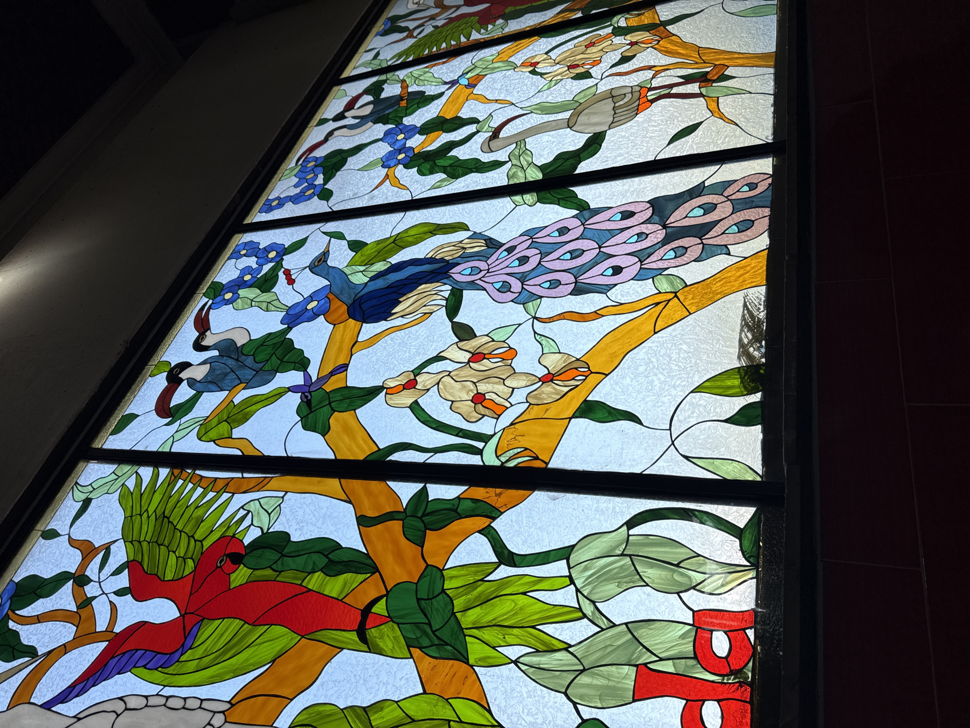 The image shows a tall, multi-paneled stained-glass window depicting birds and foliage. The scene is inside a building, judging from the window frame and adjacent wall. The window is divided into several horizontal sections by dark frames.
The stained-glass design features vibrantly colored birds and plants. The bottom section includes a red parrot, and a green tree with yellow branches. Above it, there is a peacock with an extended tail. Other birds, flowers, and leaves in shades of blue, green, and white are present throughout the composition. The background is a light blue. The style of art is reminiscent of stained glass, with bold outlines and flat areas of color.
Without further information, it's not possible to confirm the location in Rancho Santa Elena (Rancho del Ingeniero), Mexico.