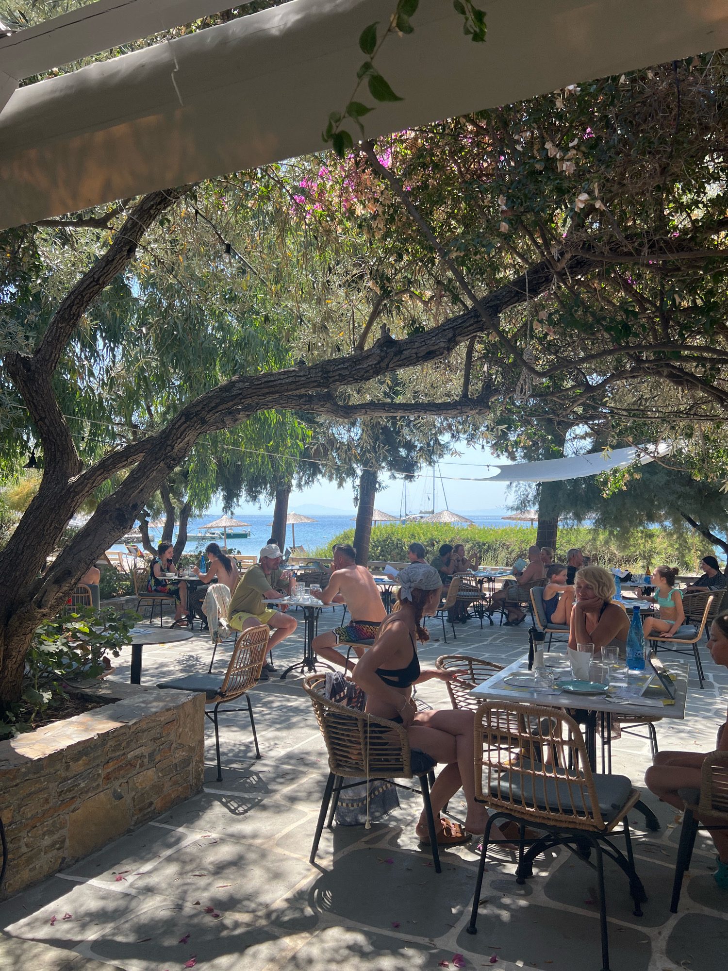 The image depicts a sunny outdoor dining area in Alikias, Greece, likely a restaurant or cafe by the sea. A large, gnarled tree with abundant foliage provides shade over a patio paved with grey flagstones. Several tables with chairs are set up, occupied by patrons. In the foreground, a woman in a black bikini sits at a table. Further back, other diners are seen, some in swimwear and others in casual attire. Beyond the seating area, the turquoise waters of the sea are visible, with a few boats and umbrellas on the beach. The scene is relaxed and appears to be a typical summer day at a seaside establishment.