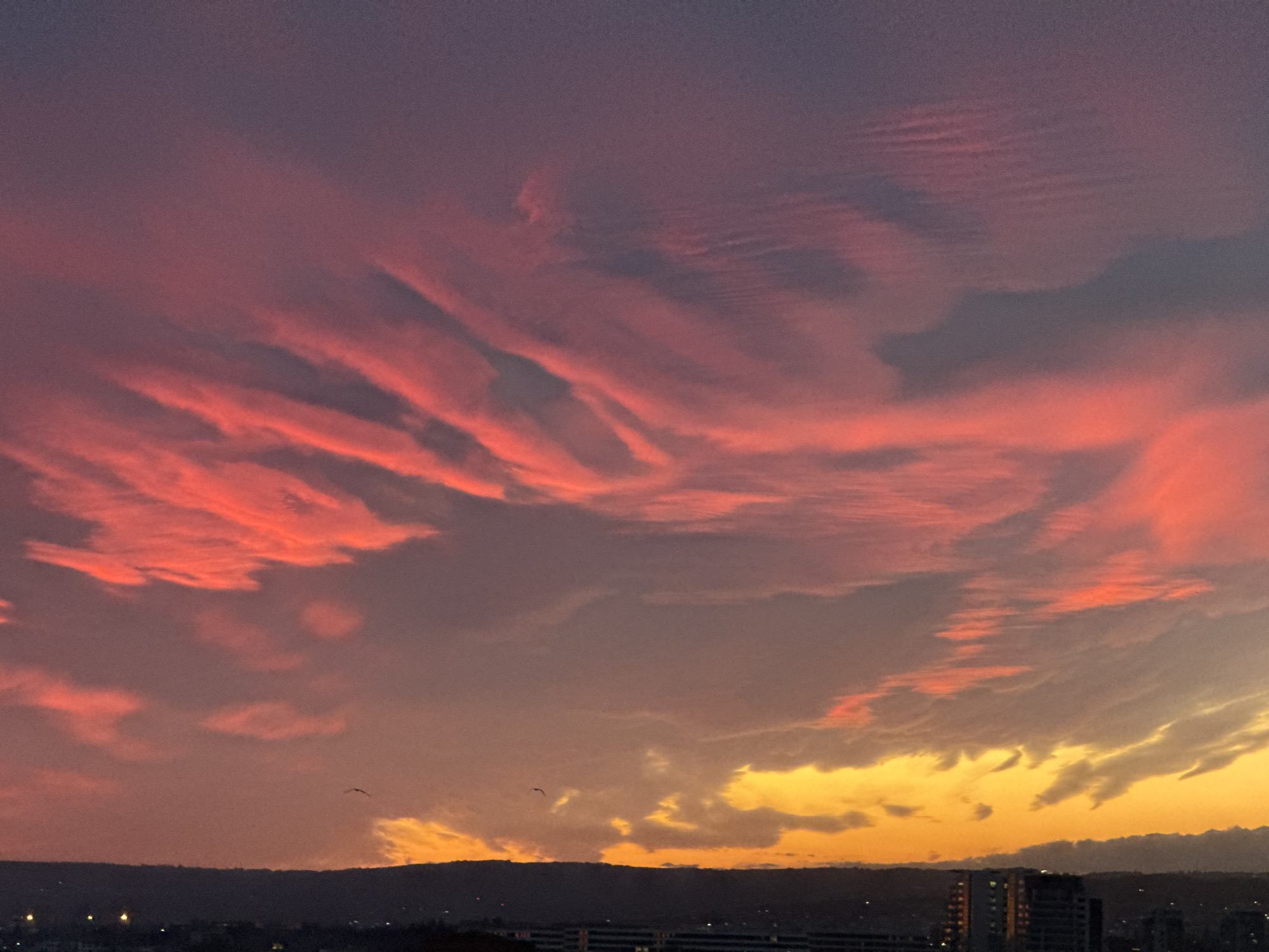 The image captures a dramatic sunset over Varna, Bulgaria. The sky is dominated by streaks of red and pink clouds at the top, transitioning to orange and yellow hues near the horizon. A dark, undulating ridgeline divides the sky from the city below. Several buildings are visible, silhouetted against the sunset. Two birds are discernable in the sky near the horizon line. Lights from the city twinkle in the dimness below the ridgeline.