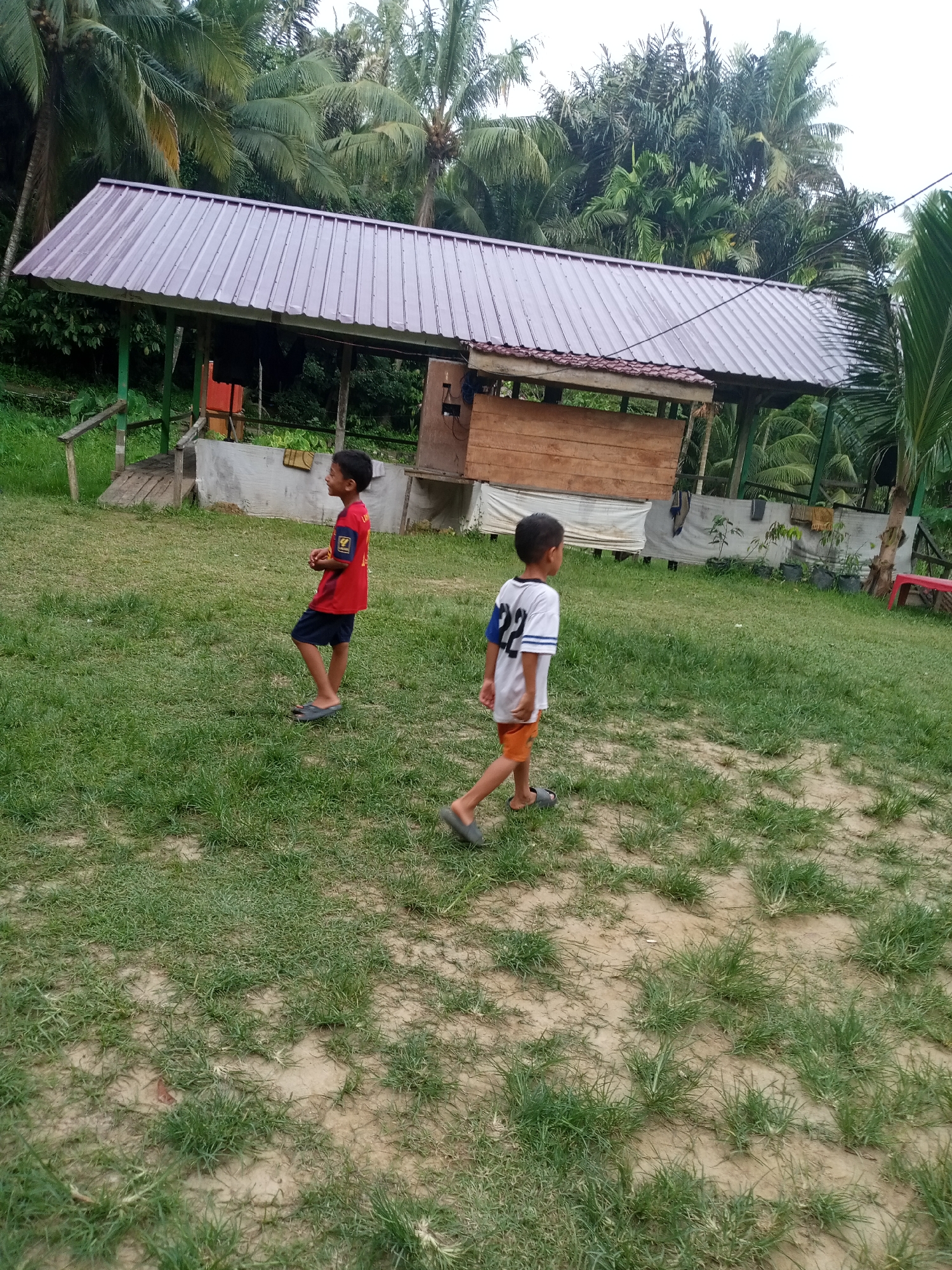 In Lhokseumawe, Indonesia, two young boys are walking on a grassy field. One boy, on the left, wears a red t-shirt and dark shorts. The other boy, on the right, has a white t-shirt with the number "22" on it and orange shorts. They are walking away from the camera towards a wooden structure with a metal roof.
The structure appears to be a shelter or a small building, possibly part of a recreational area. It has wooden walls and a red-brown metal roof. In the background, lush green palm trees and other tropical vegetation create a dense, natural backdrop. The sky is overcast, suggesting a cloudy day. The ground is covered in patchy grass with areas of exposed soil. To the right of the shelter, a red bench is partially visible. The overall scene depicts a casual outdoor setting in a tropical environment. The children appear to be engaged in playful activity, though their emotions are not clearly discernible from the image. The time of day is likely daytime, given the lighting conditions.