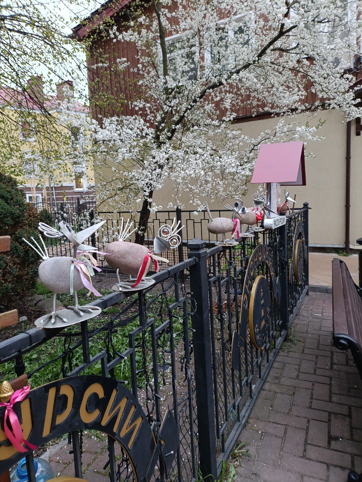 The photograph shows an outdoor scene in what appears to be a public area in Zelenogradsk, Russia. A black, decorative metal fence runs along a brick-paved pathway. The fence is adorned with various artistic metal sculptures of birds made from stones with metal legs and wings. Ribbons are tied around some of the bird sculptures. The fence has sections with cut-out lettering in Russian. Behind the fence, there is a structure with a pink roof and signage in Russian. A bench is located to the right of the fence. A large tree in full bloom with white flowers is visible in the background. Buildings are visible on the edges of the frame. The scene suggests a garden or decorative area within the city.