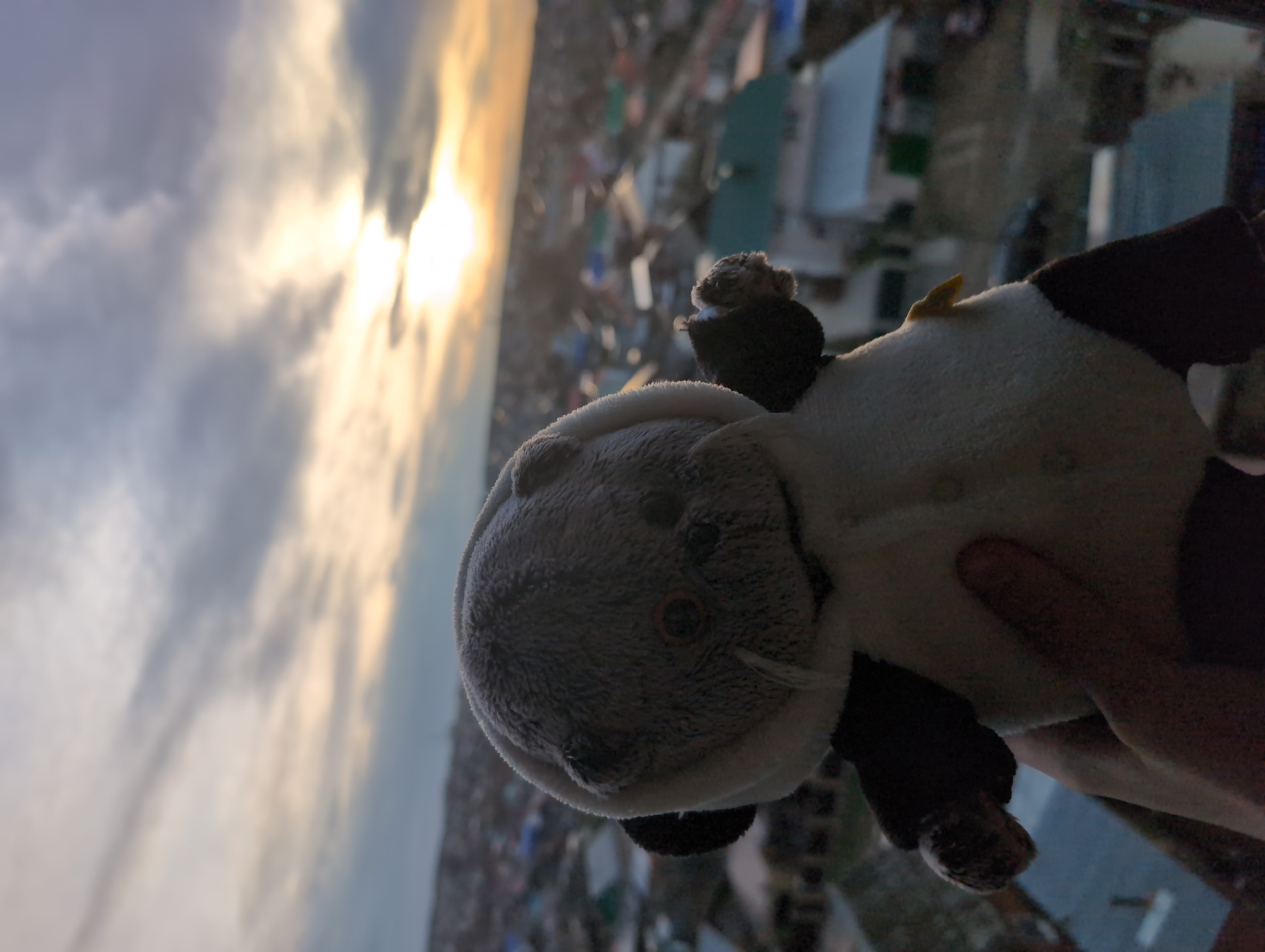 A low-angle photograph shows a child's stuffed animal held up against an outdoor backdrop of a city and cloudy sky. The stuffed animal appears to be an elephant with black and white patches; its facial features are vaguely defined due to the close-up and focus. The background features a cityscape with an array of buildings and houses. The sky is overcast with heavy clouds; the setting sun appears to be trying to break through the cloud cover, creating a bright glow. The buildings are a mix of residential and commercial with a range of colors and sizes. There are no visible people in the photograph.