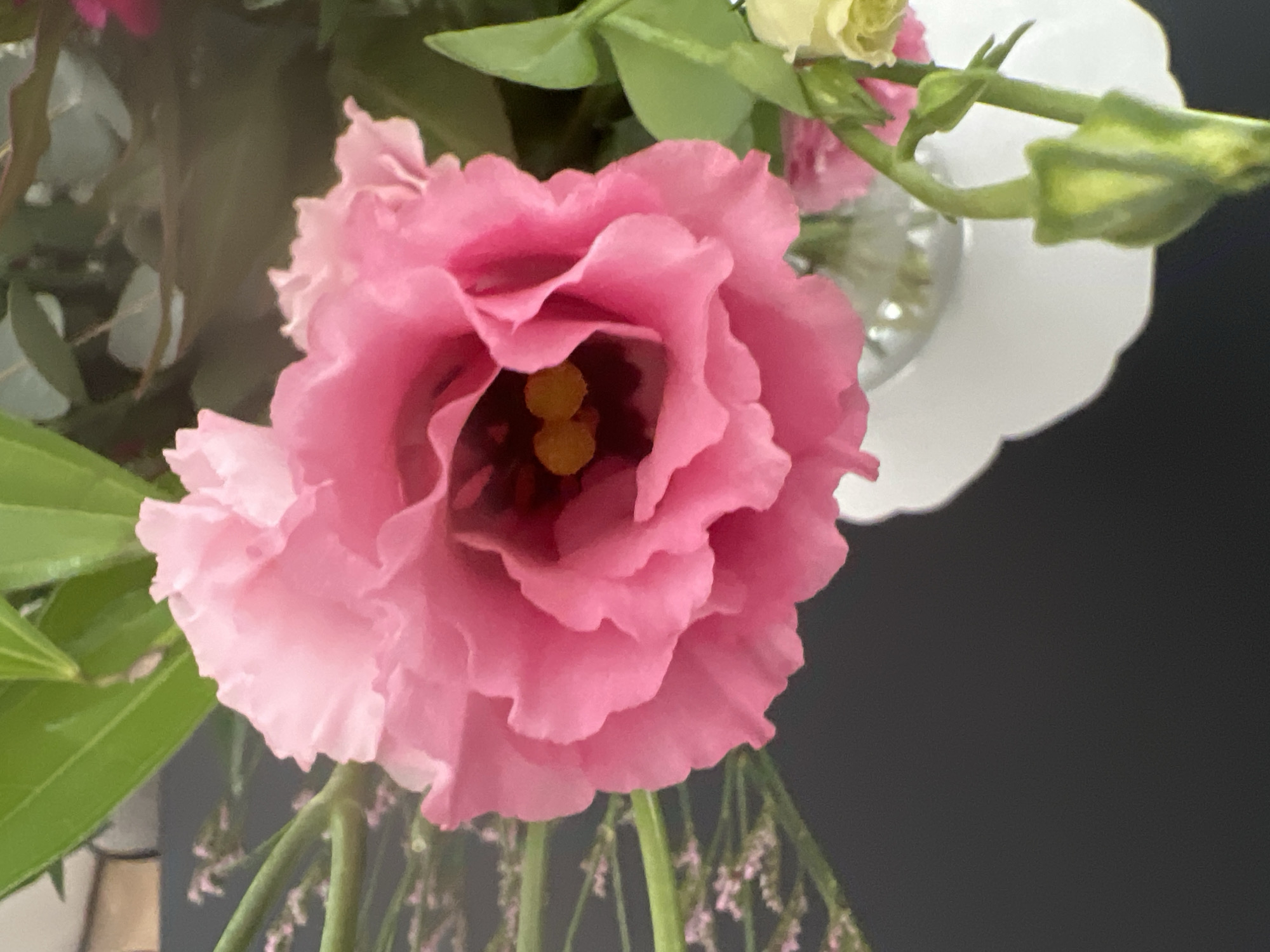 A close-up shot of a vibrant pink lisianthus flower with layered petals. The center of the flower reveals two bright yellow stamens. Surrounding the lisianthus are delicate sprigs of tiny pink flowers and lush green leaves. The flower is placed in a clear glass vase, partially visible at the bottom right, resting on a white decorative saucer. The background is a dark, matte surface, likely a tabletop or wall. The image appears to be taken indoors, possibly in a home or floral arrangement setting in Hof HaCarmel Regional Council, Israel.