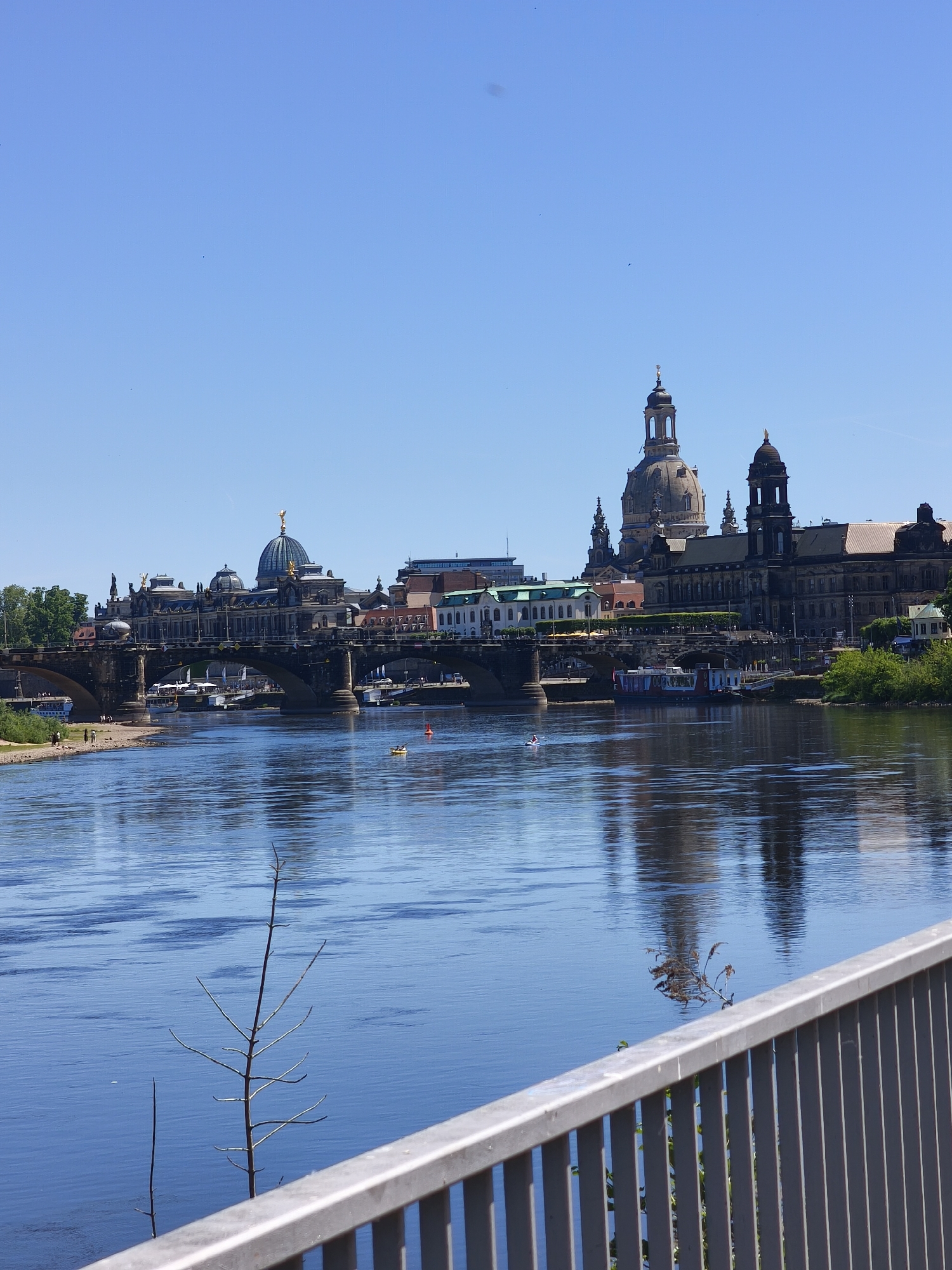 This image depicts a cityscape reflected in a body of water, presumably a river, under a clear blue sky. The city features prominent buildings including domed structures and a church with a tall spire, all located behind a multi-arched bridge. The water reflects the buildings. A light-colored metal railing is visible in the foreground, and a small, leafless tree stands near the water's edge. In the river, there are small boats or kayaks, and people can be seen on a beach near the bridge. The location is Dresden, Germany.