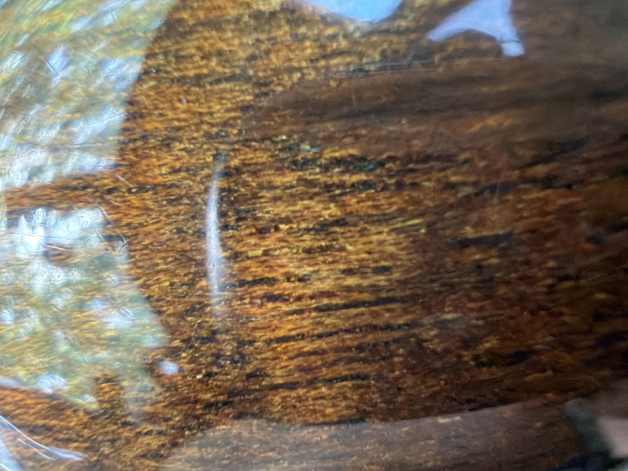 The image displays a close-up, abstract view of a textured surface. The surface has a predominantly brown and golden hue with vertical striations and a rough, almost granular texture. There are also areas of lighter, reflective patches, suggesting a glossy or wet finish. The background is blurred and appears to be a reflection of the surroundings, with hints of green, blue, and white light. The specific location within Southlake, United States of America, is not discernible from the visual information provided.