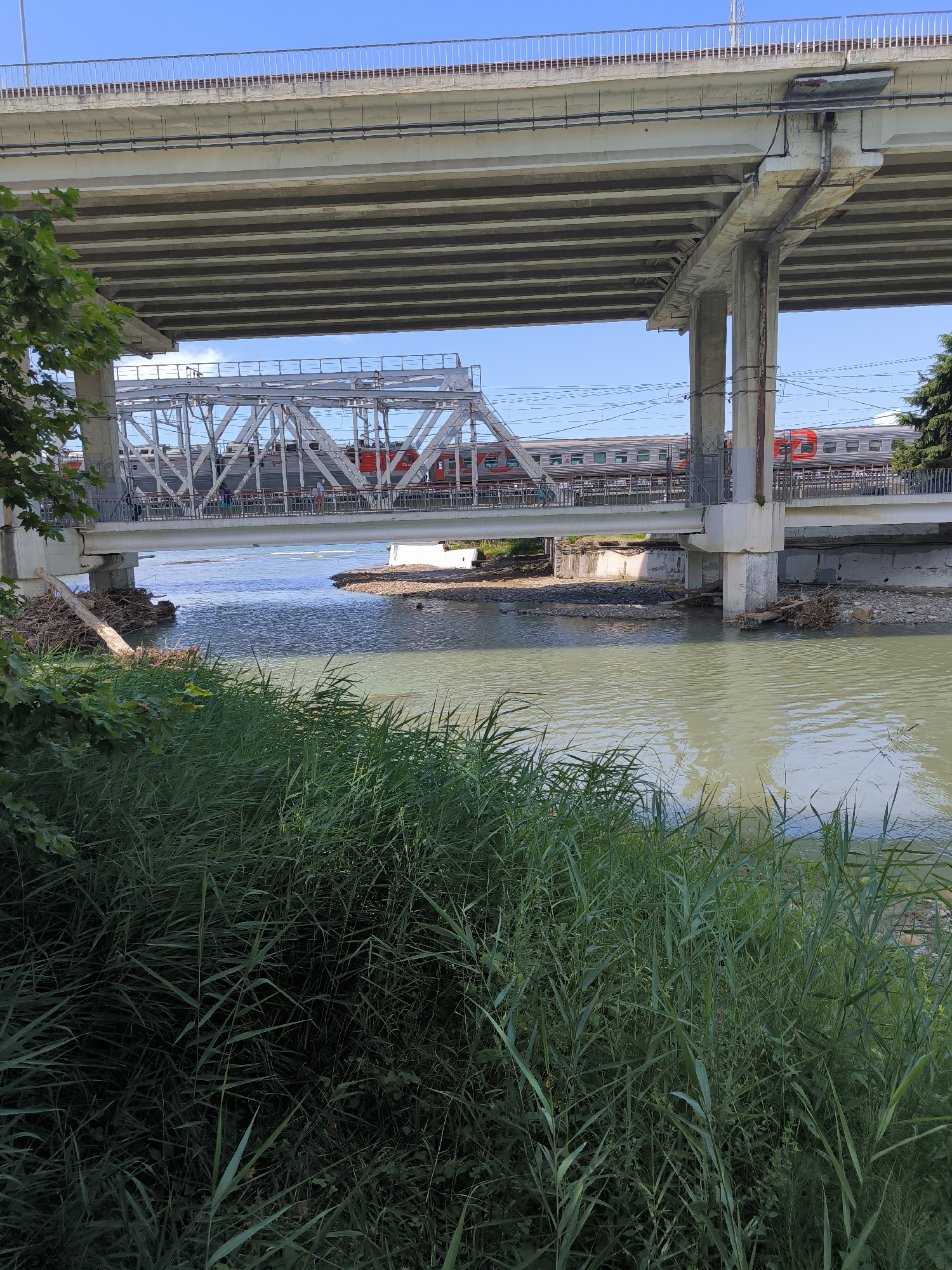 The image depicts a view under a multi-level bridge structure in Sochi, Russia. The foreground is dominated by tall green reeds growing along the bank of a murky river. In the middle ground, a train with red and grey carriages is visible traveling on a railway bridge. The railway bridge appears to be a truss bridge. Beneath the railway bridge, there is a concrete overpass or another bridge structure, supported by massive concrete pillars. The river flows beneath both bridges. The sky is clear and blue, indicating a daytime scene. There are no people clearly visible in the image, though the train suggests the presence of passengers. Debris, including branches and logs, is present along the riverbanks and in the water, particularly near the pillars of the lower bridge.