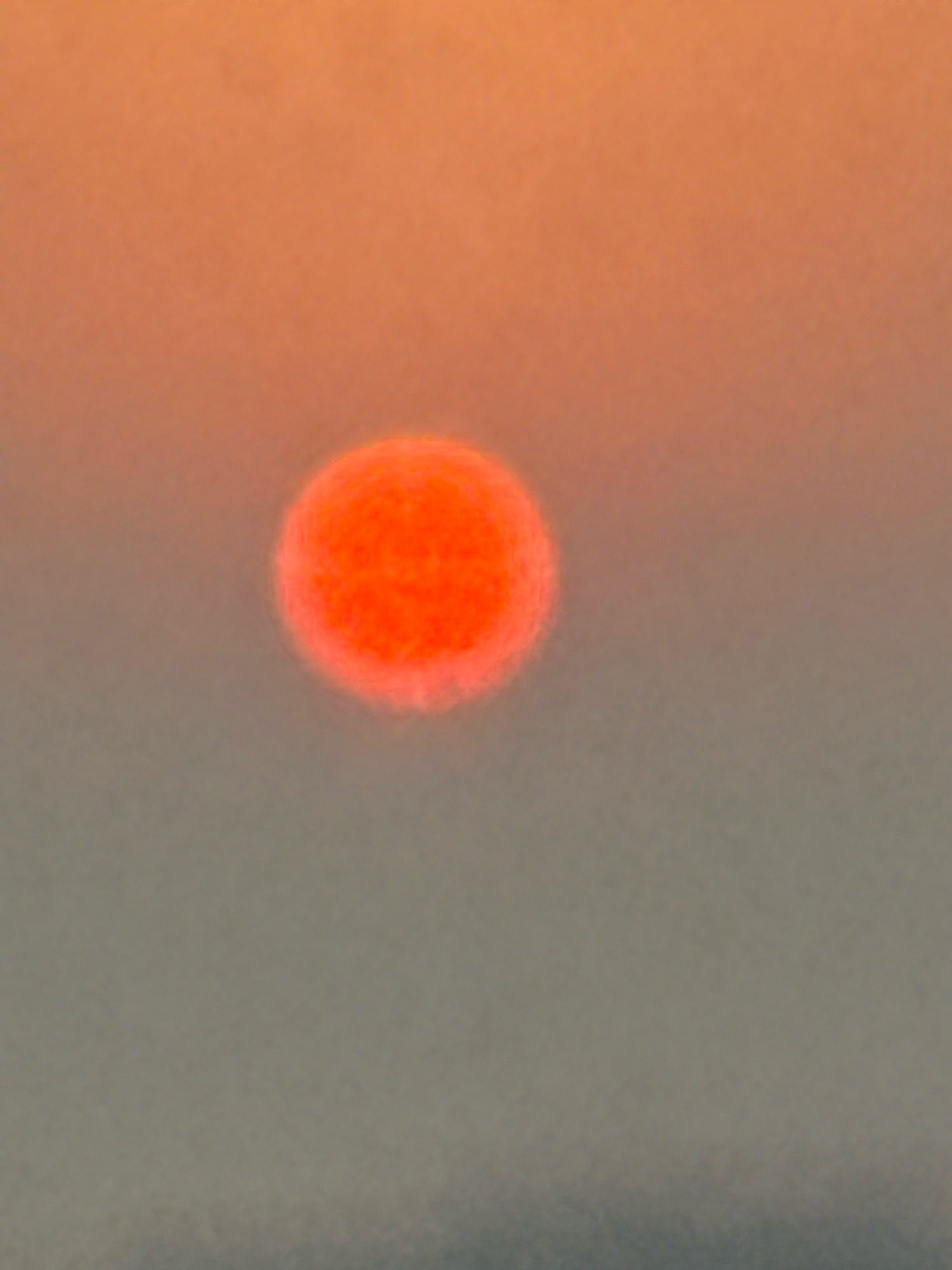 The image is a photograph of the sun, which appears as a bright orange disc against a hazy, gradient sky. The top of the image transitions from a light peach color to a muted gray at the bottom. The sun is positioned slightly to the left of the center and is somewhat blurred, with a softer edge and a slightly fuzzy halo effect. The overall impression is of the sun viewed through atmospheric conditions, possibly during sunrise or sunset. There are no discernible landmarks or features of Dubai visible in this image.