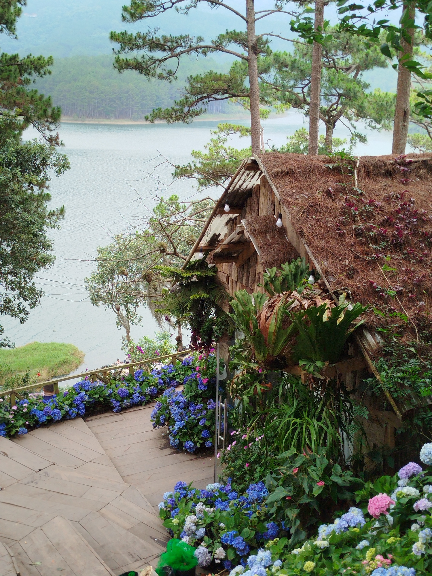 The image depicts a picturesque scene from Da Lat, Vietnam, featuring a small, rustic wooden cabin with a thatched roof. The cabin is partially covered in lush greenery, including ferns and flowering plants. A path of wooden steps leads towards the cabin, bordered by vibrant blue and pink hydrangea bushes. In the background, a serene lake is visible, surrounded by trees and hills. The overall atmosphere is tranquil and scenic.