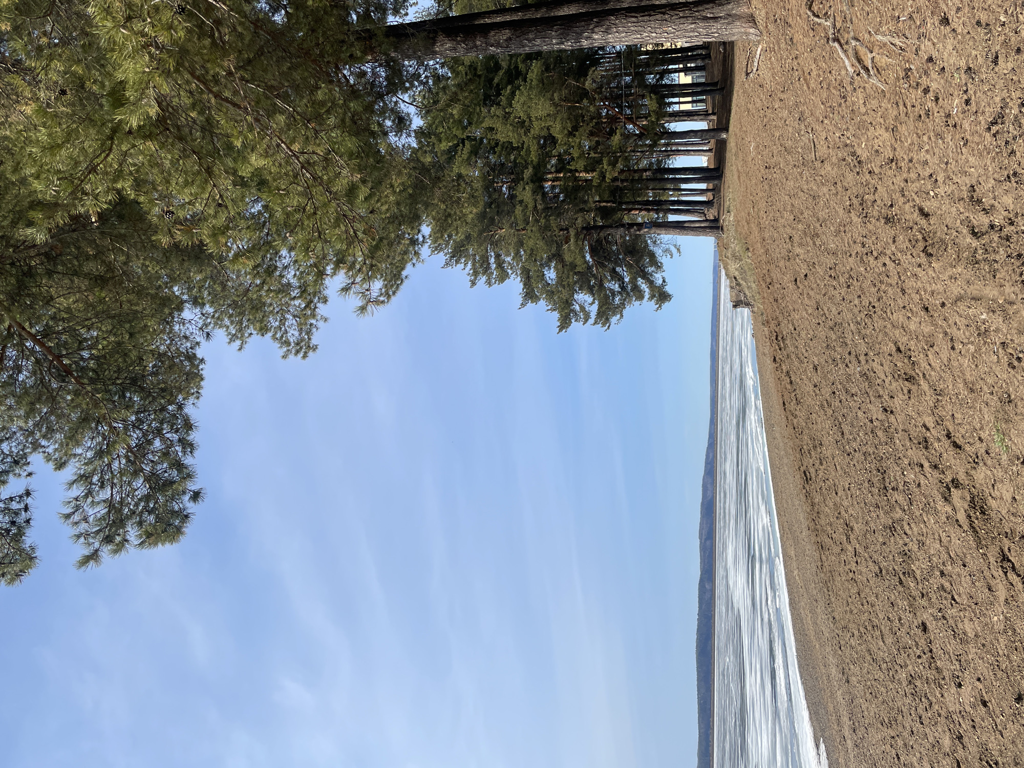 The image captures a landscape scene, likely located on the edge of a body of water. A line of tall, coniferous trees stands between the water and a higher bank covered in brown vegetation or soil. The water surface appears to be partially frozen or covered in ice. The sky is blue with faint cloud streaks. The location is given as Chaikovsky, Russia. No people or animals are visible in the frame.
