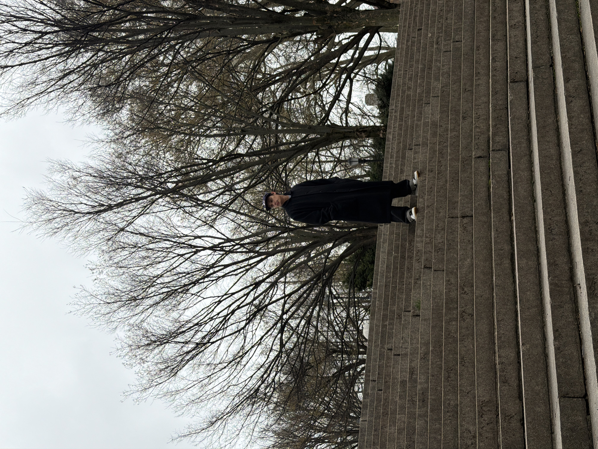 A medium eye-level shot depicts a figure on a staircase alongside bare branches of trees against a cloudy sky.
The figure, centered in the frame, stands on the stairs wearing a long black coat, dark pants, and light-colored sneakers. The person appears to be wearing a cap or hat.
The staircase dominates the right side of the image, constructed of stone or concrete with vertical lines. The trees, on the left, display intricate branching patterns without leaves, stark against the overcast sky.
The scene is devoid of other people or objects. The setting is outside, with the cloudy sky indicating a possibly cold or muted light.
The location of this picture is likely in the city of New York, United States of America.