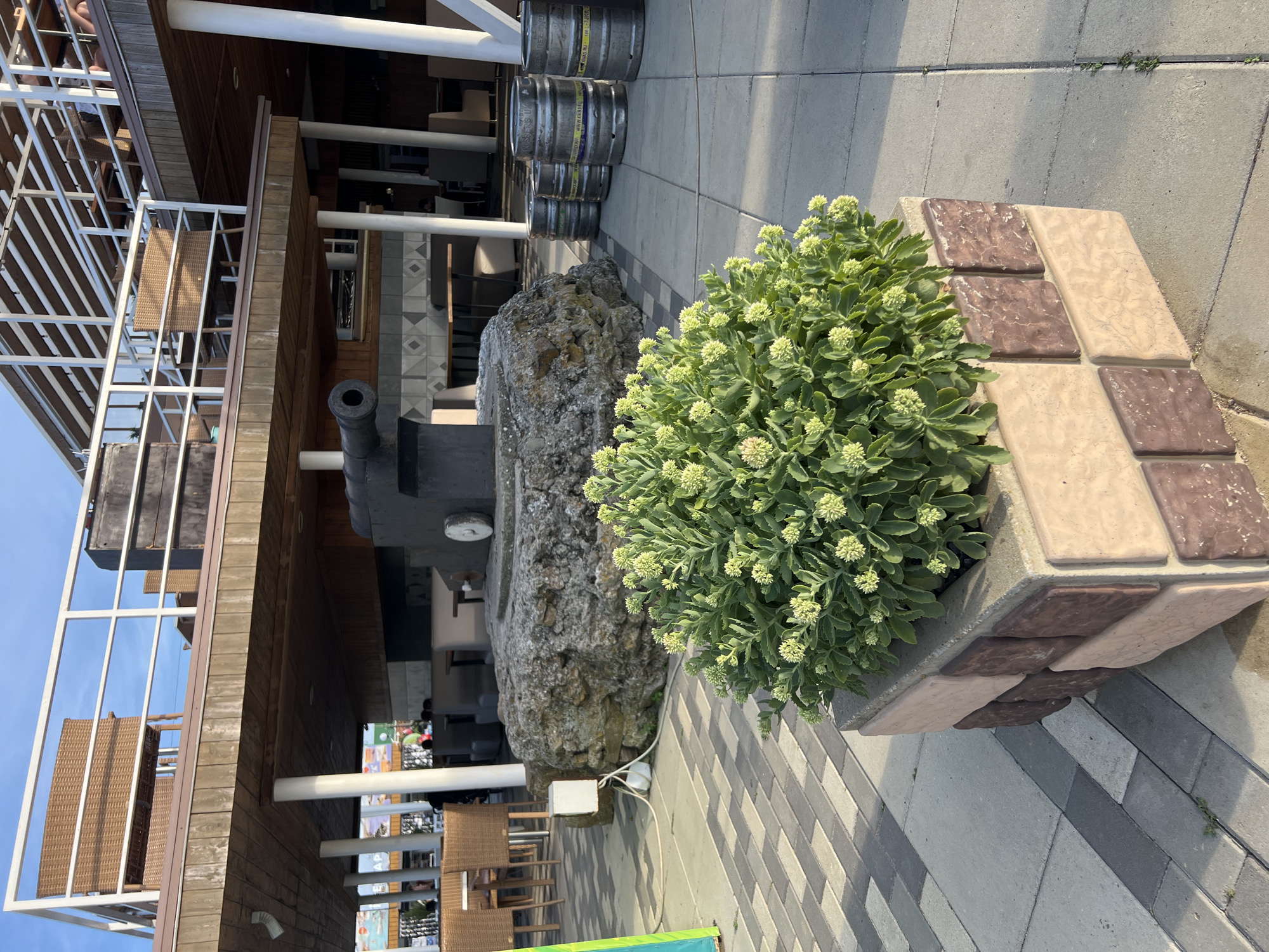 The image shows an outdoor seating area at a venue in Yeysk, Russia. In the foreground, a large planter box with a green leafy plant is situated on a paved walkway. The walkway is composed of square concrete tiles arranged in a geometric pattern. Behind the planter, a large, dark cannon is mounted on a rocky base. In the middle ground, several silver kegs are lined up on the pavement. Further back, a multi-level wooden structure with outdoor seating and tables is visible. People can be seen sitting at tables on the lower level. The overall scene suggests a casual outdoor dining or drinking establishment.