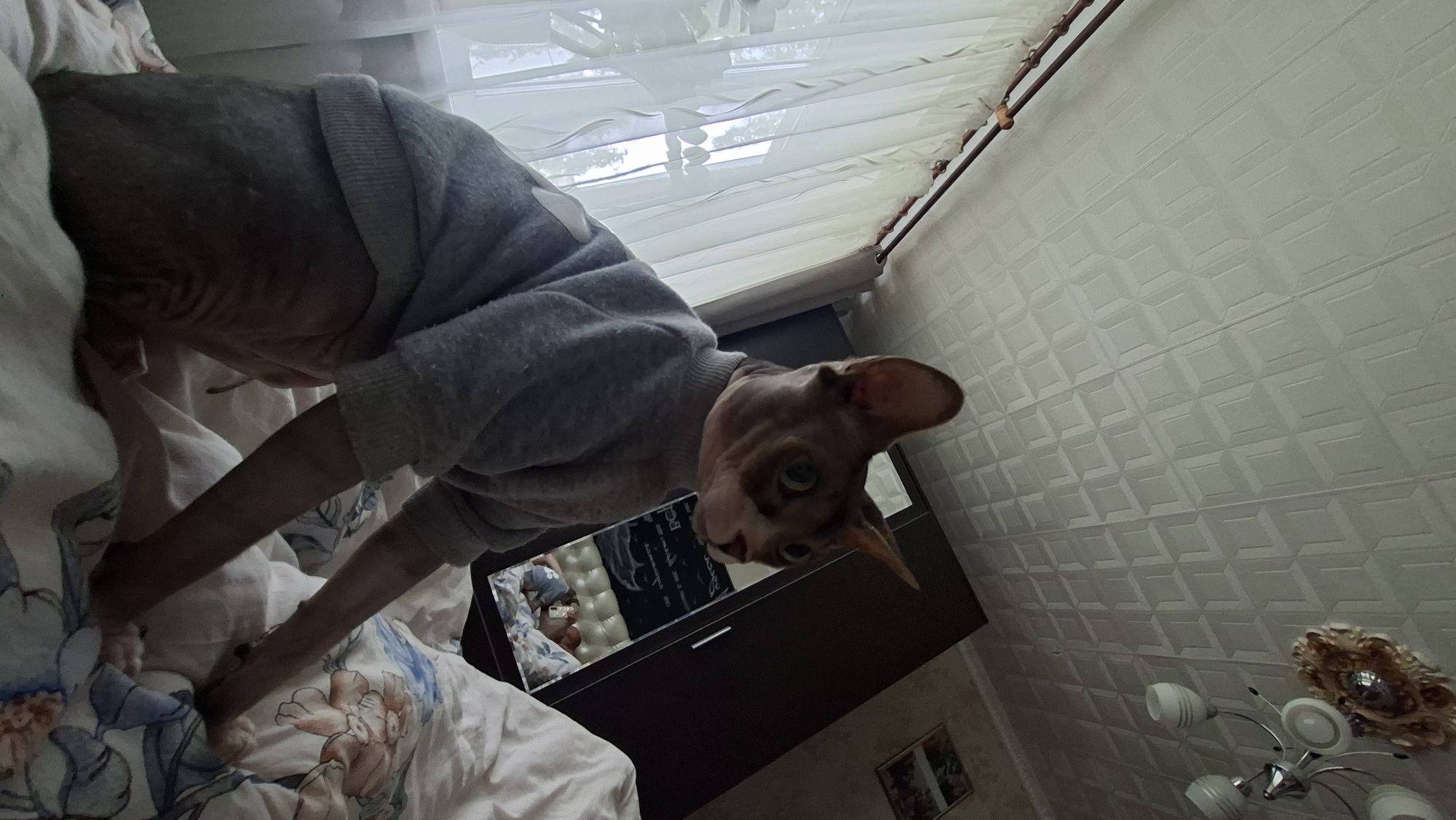 A Sphynx cat, wearing a grey sweater, is sitting on a bed with floral patterned sheets. The cat is looking to the right with its ears perked. Behind the cat, a closet with a mirrored door is visible. In the reflection of the mirror, two people are lying in bed. The room appears to be a bedroom in a residential setting. The ceiling has a textured pattern. A window with sheer white curtains is to the left of the cat. A chandelier hangs from the ceiling in the upper right portion of the image. The image was taken indoors.