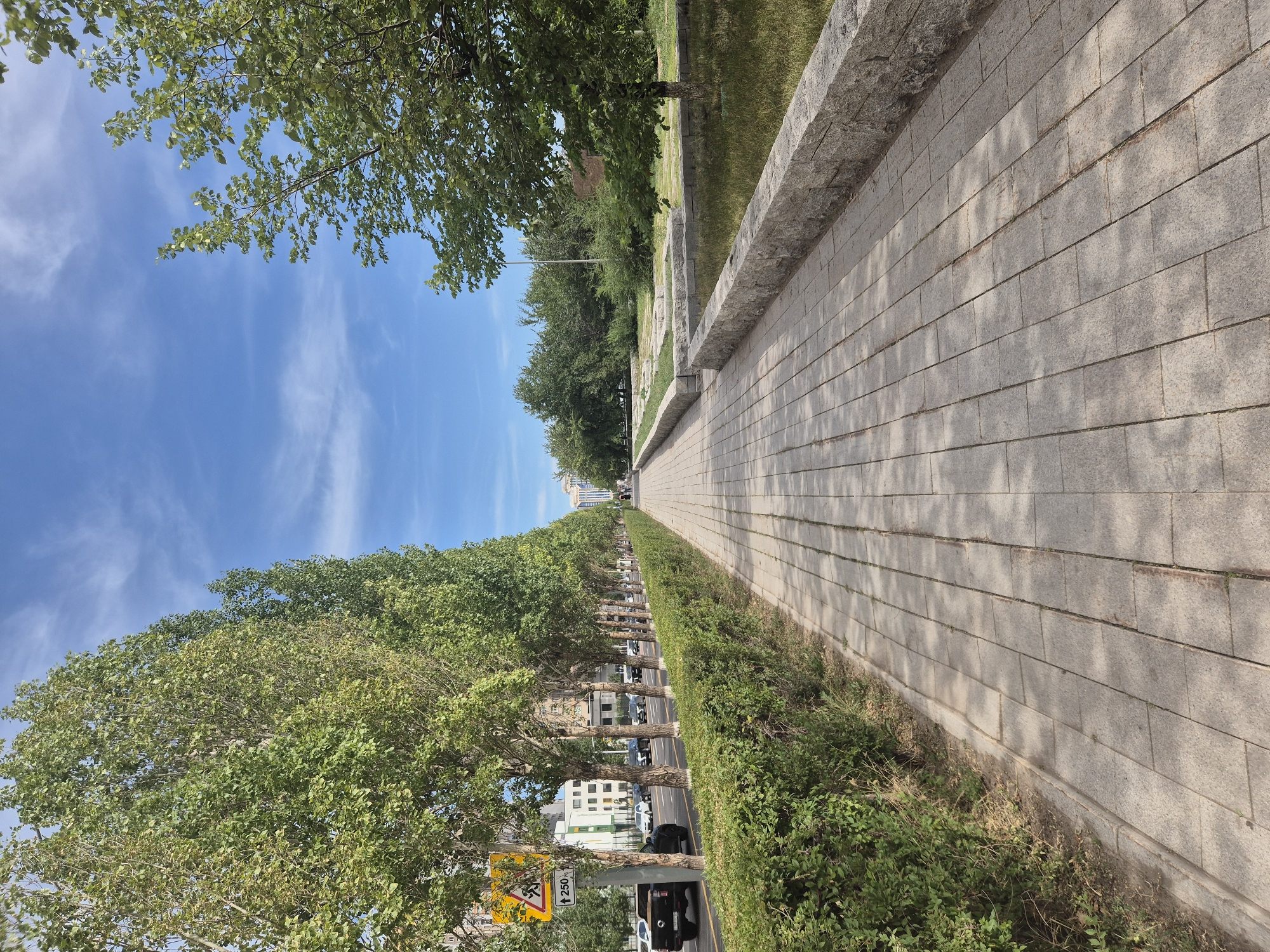 This image depicts a wide, paved pedestrian walkway lined with a meticulously trimmed green hedge on the left and a low stone retaining wall on the right. The walkway extends into the distance, leading towards a city skyline. On the far left, a busy street is visible with cars and a traffic sign indicating a school zone with a speed limit of 250 km/h. Tall, leafy trees form an avenue along the street, providing shade over the walkway. Beyond the hedge and trees, modern buildings with light-colored facades can be seen. The sky above is a clear blue with wisps of white clouds. To the right of the walkway, a grassy area is bordered by the stone wall, with more trees and vegetation further back. The scene suggests a well-maintained urban environment, likely a park or a tree-lined boulevard in the city of Astana, Kazakhstan.