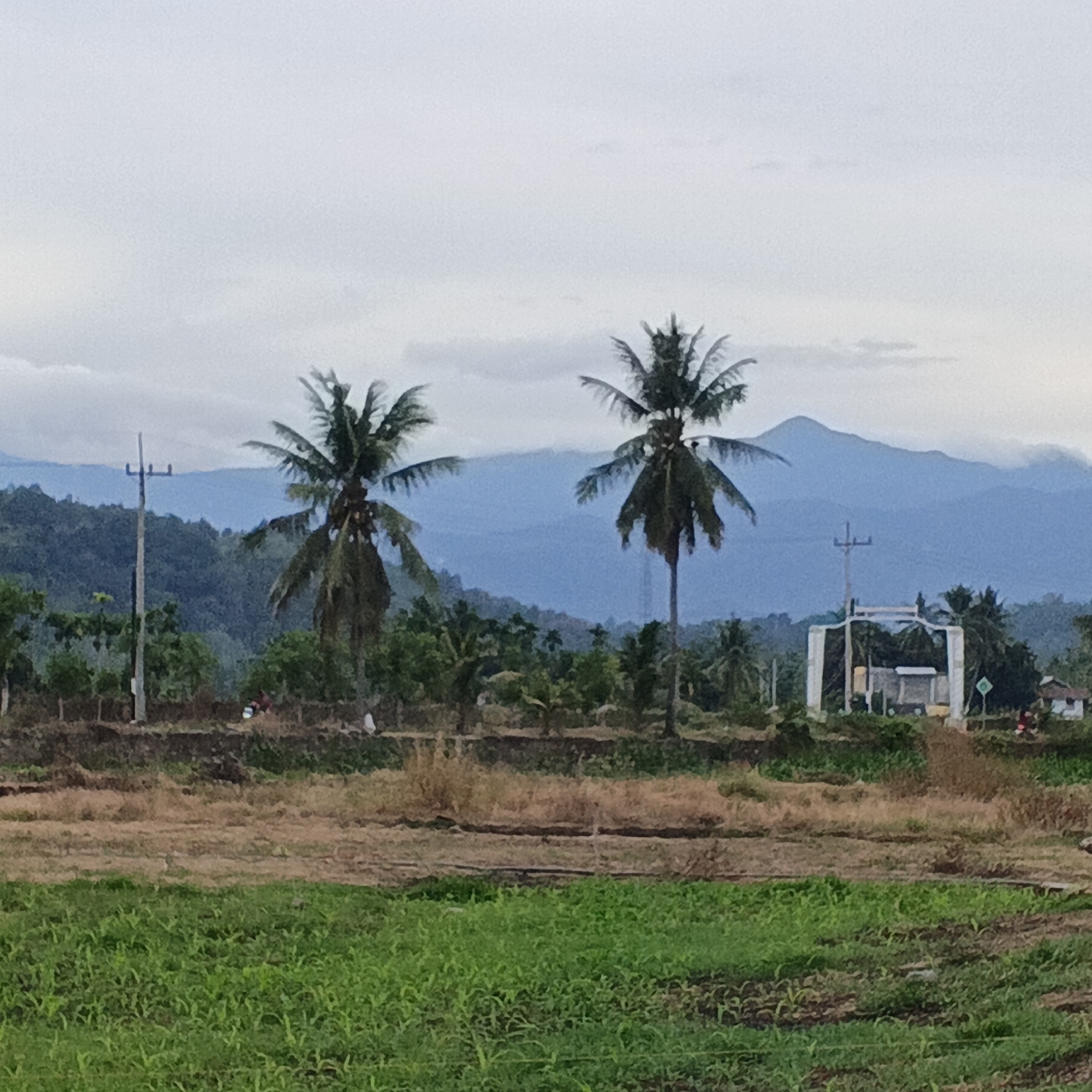 The image depicts a landscape scene with elements of rural life and natural beauty. In the foreground, lush green crops cover the lower portion of the frame, suggesting agricultural activity. Behind this, dry, brown earth with visible furrows indicates a recently harvested or fallow field.
The midground features a scattering of vegetation, including several prominent palm trees with their distinctive fronds. A solitary utility pole with crossbars stands to the left, adding a man-made element to the natural scenery. Further to the right in the midground, a white, arched structure, possibly an entrance or decorative archway, is visible, with a small building or shelter behind it. A motorcycle with two people is seen near this structure, indicating recent human presence.
The background is dominated by rolling hills covered in dense green foliage, transitioning into hazy blue mountains in the distance. The sky is overcast with light clouds, creating a soft, diffused light. The overall impression is of a serene, somewhat overcast day in a tropical or subtropical rural setting, possibly in the city of Geunteng, Indonesia, given the mention.
