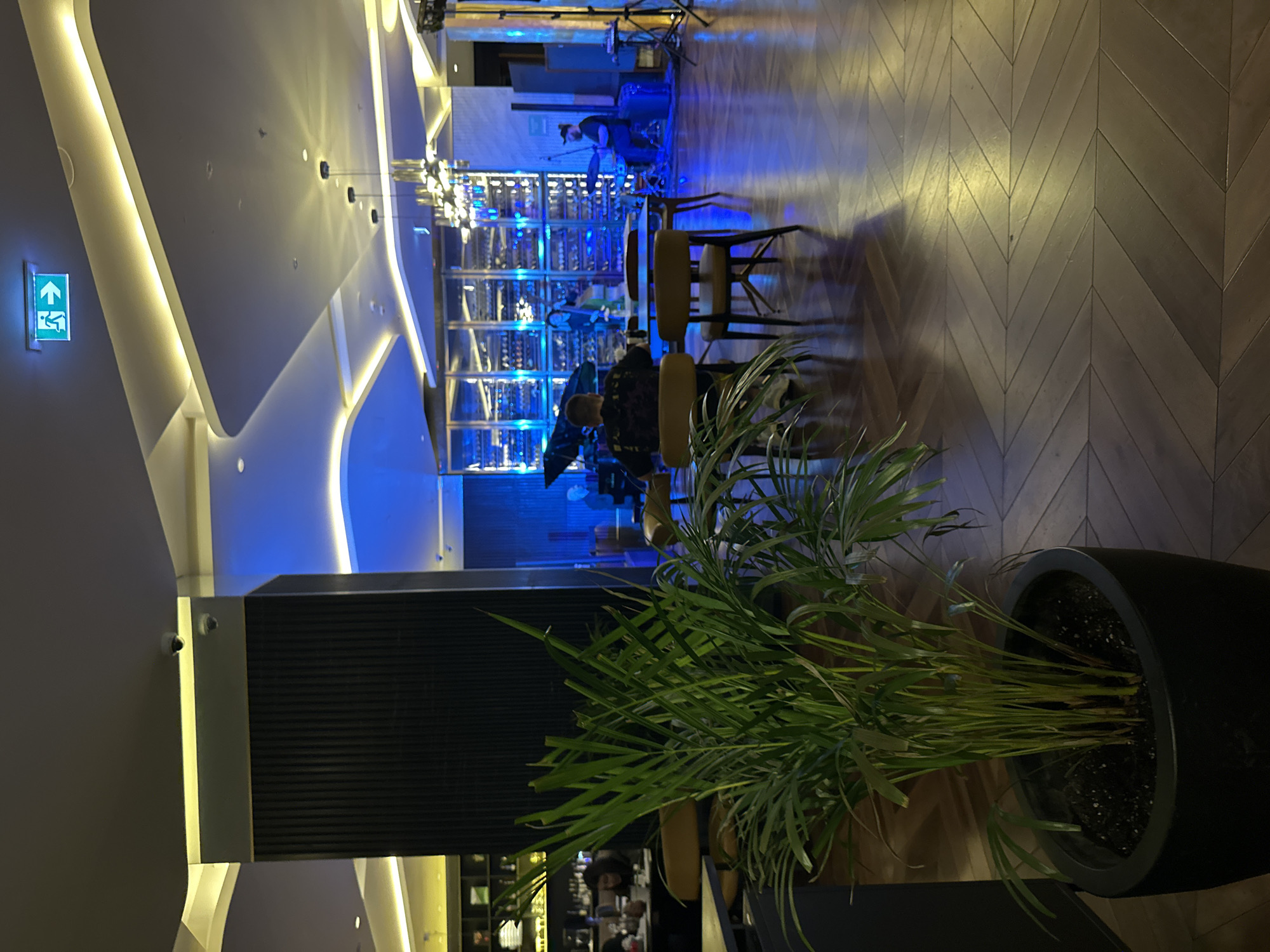 The image captures an interior space, possibly a restaurant or lounge, in Batumi, Georgia, characterized by modern decor and vibrant blue lighting. A prominent feature is a large plant in a black pot in the foreground. Tables and chairs are arranged in the middle ground, with individuals seated and interacting, suggesting a social or dining atmosphere. A band or musical group is visible on a stage in the background, indicating live entertainment. A wall filled with shelves and illuminated with blue lights displays wine and other bottles. There is an exit sign on the wall near the ceiling. The floor has a parquet wood design.