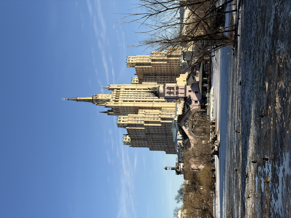 The image depicts the Kudrinskaya Square Building, one of Moscow's Seven Sisters skyscrapers, located in Moscow, Russia. In the foreground, a partially frozen body of water, likely a pond or lake, shows patches of dark open water interspersed with lighter ice. Several ducks and other waterfowl are visible on the ice and in the water. Bare tree branches, characteristic of winter or early spring, frame the scene on the left and right.
In the midground, beyond the water, several smaller, multi-story buildings with pinkish and light-brown facades are visible. These structures feature peaked roofs and some decorative elements, including a prominent light-pink building with a dark-spire-topped turret on the right. Another, smaller turreted structure is visible to the left.
The background is dominated by the imposing, light-colored Stalinist skyscraper, the Kudrinskaya Square Building. It features a central, tall spire topped with a gold star, flanked by numerous smaller spires and turrets, and multiple residential stories with repeating window patterns. The sky above is clear and bright blue with a few faint cirrus clouds. The scene is illuminated by natural daylight, suggesting a clear day. No human subjects are discernible.