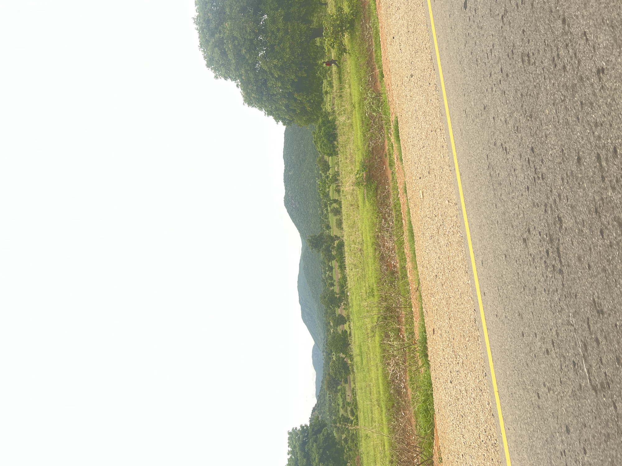 An eye-level, full shot captures a rural Nigerian landscape in Minda. The foreground is dominated by an asphalt road, distinguished by a bright yellow line. To the left of the road, a gravel shoulder gives way to lush green grass and dry brush. Further back, a field of vibrant green grass stretches towards a line of trees, beyond which rolling hills recede into the distance, bathed in soft, overcast light. A large, mature tree stands prominently on the right side of the frame, its dense foliage contrasting with the open fields. In the middle ground, a small, reddish-clad figure is visible walking through the grassy terrain. The sky is a uniform pale white, suggesting a cloudy or hazy day.