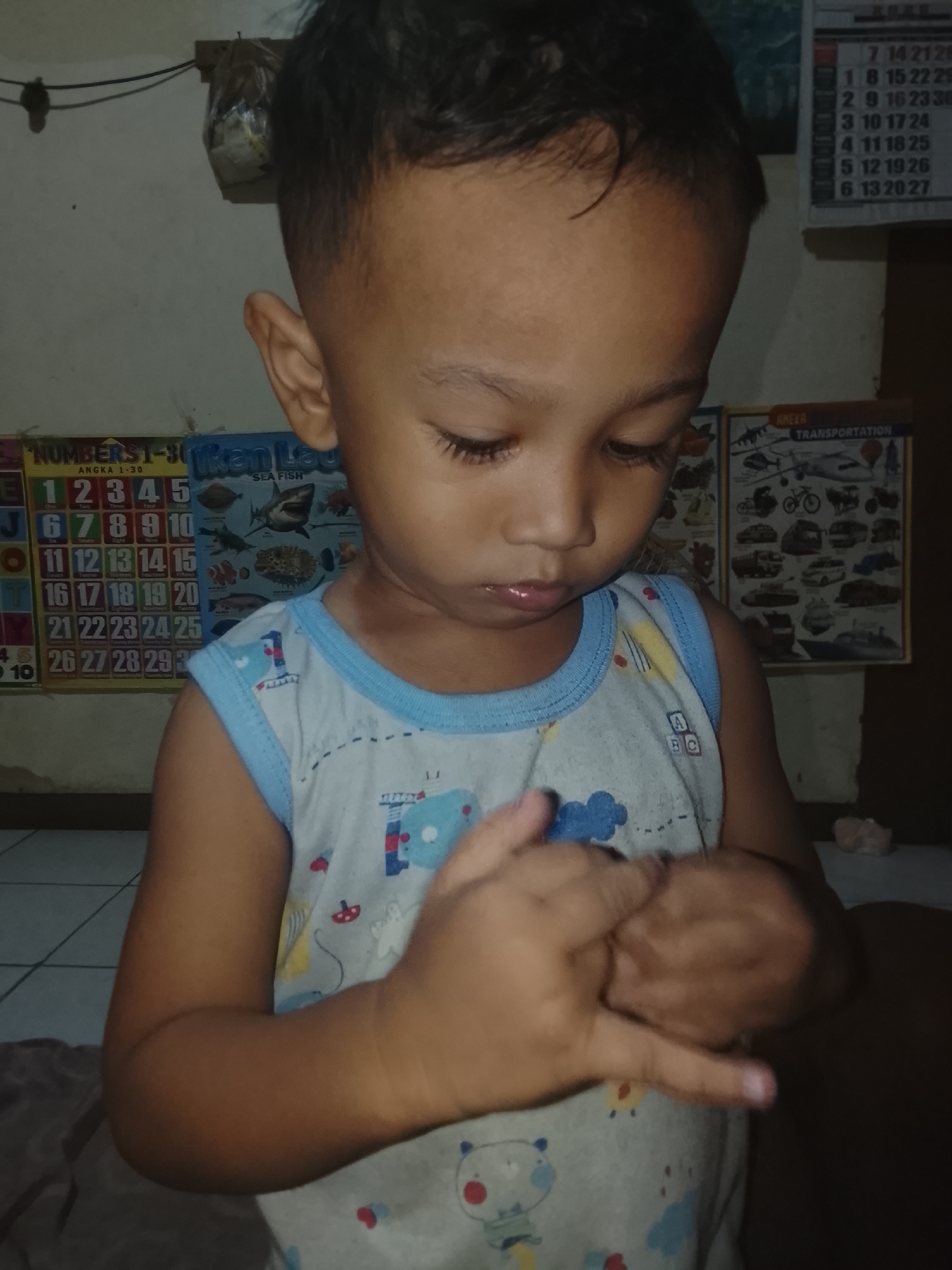 Memory
