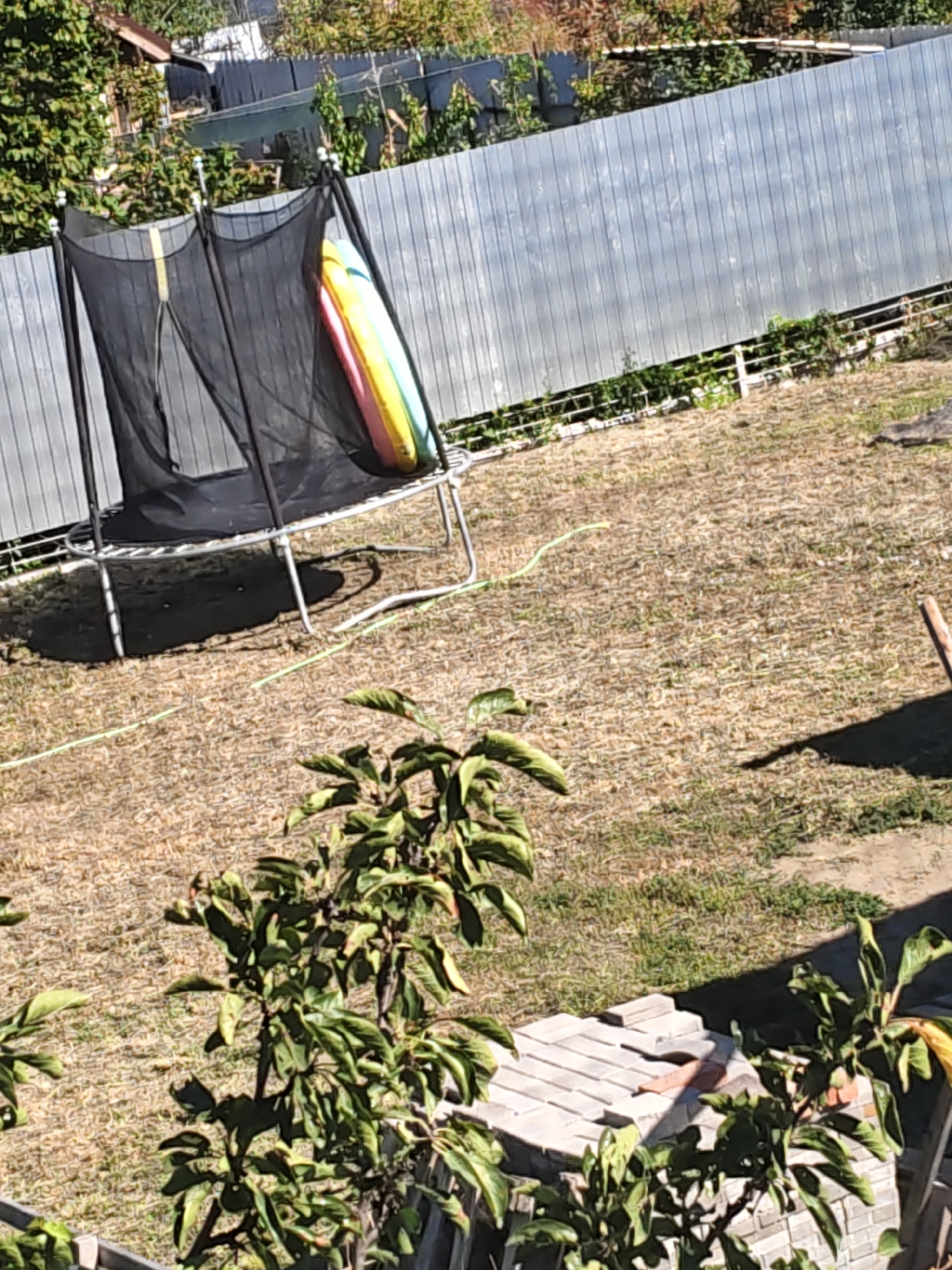 In Rostov-on-Don, Russia, a backyard scene is captured on a sunny day. A trampoline with a black safety net stands prominently. Inside the trampoline enclosure, several colorful inflatable rings, possibly pool toys, are leaning against the side. These rings display a gradient of colors including pink, yellow, blue, and green. A thin, bright green hose is visible on the dry, brown grass extending from near the trampoline towards the background. A tall, grey wooden fence runs across the mid-ground, partially obscured by green foliage. In the foreground, leafy green branches of a tree or shrub partially obstruct the view of the ground and a section of brickwork construction. The ground is covered with dry grass and patches of soil. The overall impression is an outdoor residential setting in a somewhat unkempt state.