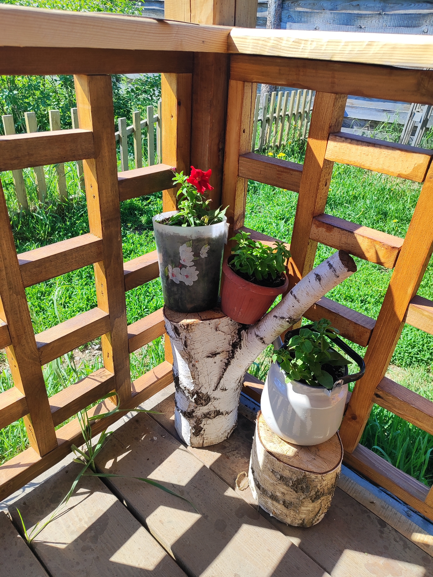 A potted red flower sits on a birch log on a wooden deck, beside other potted plants and a birch branch, with greenery and a wooden fence in the background. The scene is outdoors in a location that appears to be a rural setting, possibly a yard or garden area. The light suggests it is daytime, likely sunny given the shadows. The overall aesthetic is rustic and natural, with the use of natural materials like wood and plants. The location is specified as Marusino, Russia.