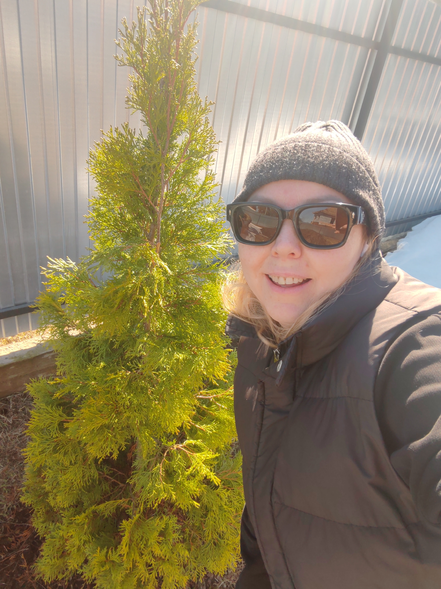 A woman in a black puffer jacket, grey knit hat, and sunglasses is taking a selfie next to a conifer tree with yellowish-green foliage. Behind the tree is a metal fence. To the right of the woman, there is a white surface under a translucent corrugated roof. This image was captured in Chaikovsky, Russia.