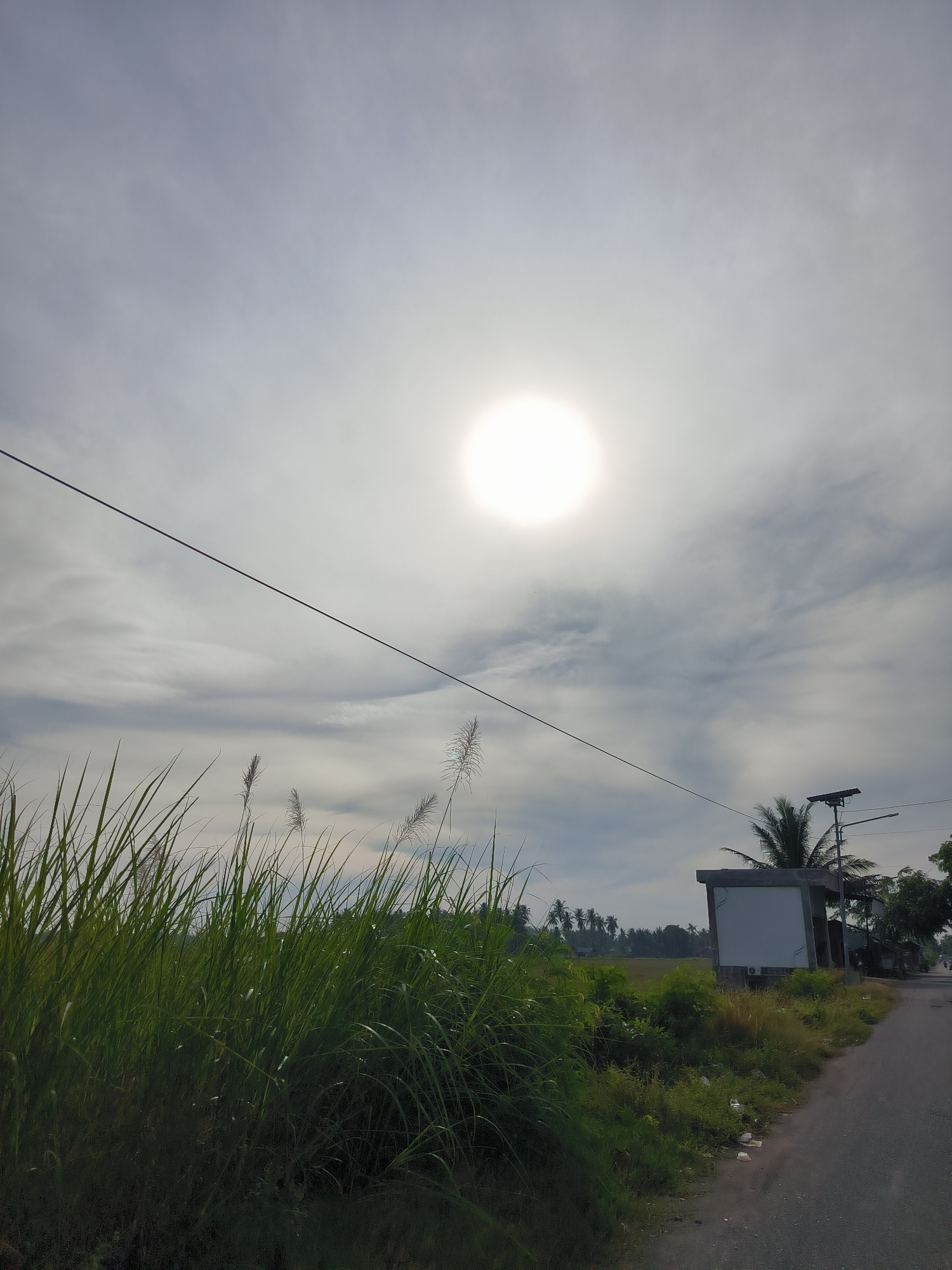 The image captures a bright, overcast day in Cotgapu, Indonesia. The sun is a prominent white circle in the sky, partially obscured by clouds. A dark, thin power line stretches diagonally across the frame from the upper left to the lower right. In the foreground, tall, green grass and reeds dominate the left side of the image, with feathery seed heads visible. To the right, a paved road runs alongside a grassy verge. On the right side of the road, there is a small, modern-looking structure with a blank white panel, possibly a bus stop shelter or a signage area. Behind this structure, a palm tree stands tall, and a utility pole with a solar panel and a light fixture is visible. Further in the background, a line of palm trees suggests a tropical landscape, and a few buildings can be seen, indicating a rural or semi-rural settlement. The overall scene is one of a bright, somewhat humid day in a tropical environment. There are no people or animals clearly depicted in the image.