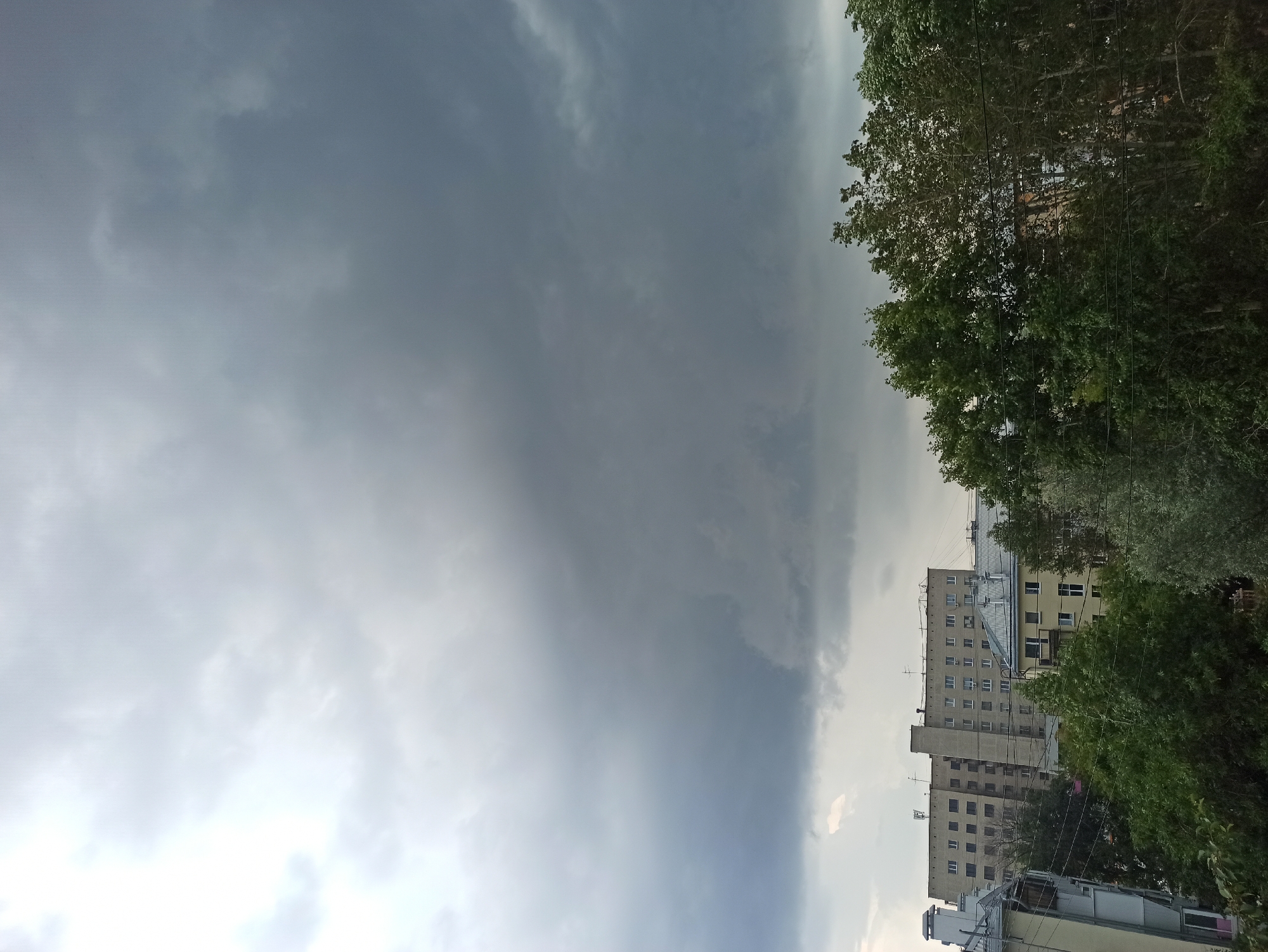 An overcast sky with heavy, dark clouds dominates the upper portion of the image. Below the clouds, a city skyline is visible. In the mid-ground, a multi-story, light-colored apartment building with numerous windows stands out. To the right of this building, a smaller, yellow apartment building with a gray, sloped roof is partially visible. In the foreground and extending across the lower half of the image is a dense canopy of green trees, obscuring parts of the buildings and the ground. Some power lines are also visible running horizontally in front of the trees. The scene suggests a possibly stormy or impending rainy weather. This image is likely from Yekaterinburg, Russia, given the architectural style of the buildings, which are common in Russian cities.