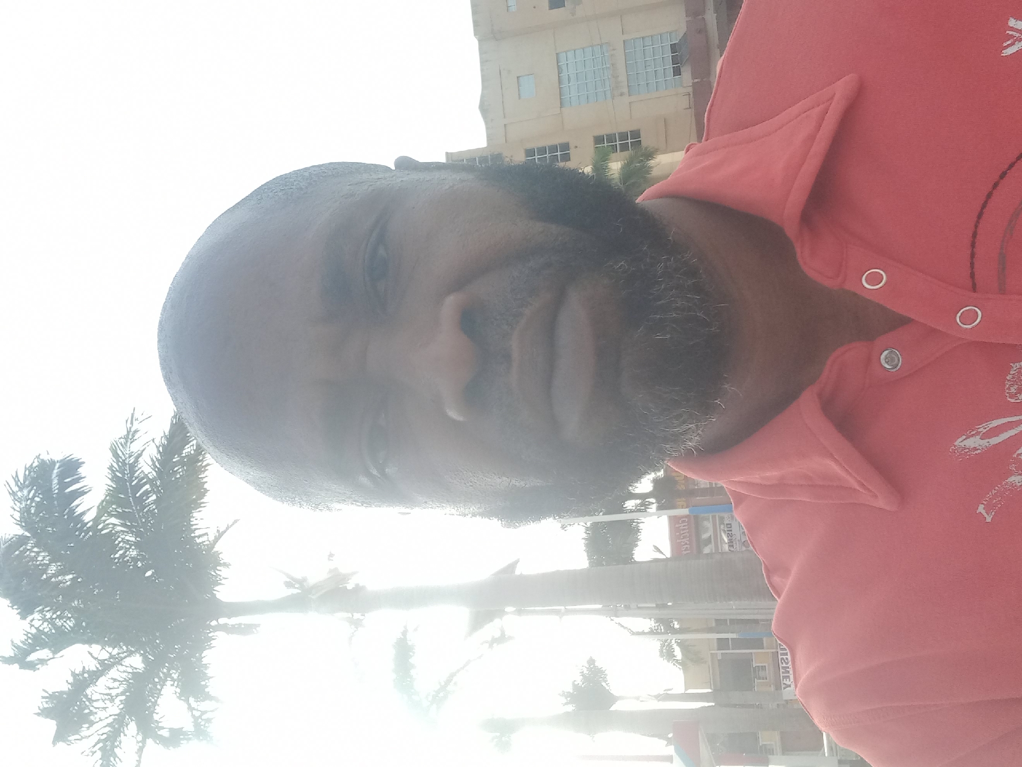 The image is a daytime close-up portrait of a man, possibly a selfie, taken outdoors. The man has dark skin, a very short haircut, and a full beard with some grey hairs. He is wearing a red collared shirt with silver snap buttons down the front and a white design detail on the right side of the chest. His expression appears neutral.
The background shows an urban or commercial setting under very bright, sunny conditions, causing some overexposure in the sky. To the left, several palm trees are visible, silhouetted against the bright sky, suggesting a warm climate. To the right, a multi-story, light brown building with numerous square and rectangular windows is prominent.
In the distant background, several commercial signs are visible, appearing reversed due to the image's orientation. When corrected, one blue sign clearly displays the words "CRICKET" and "D&W". Another white sign below that shows the text "MESHY". Faintly visible near the top of the main building, reversed text suggests the word "CASINO". The scene is consistent with an outdoor location in Barden Yana, Nigeria.