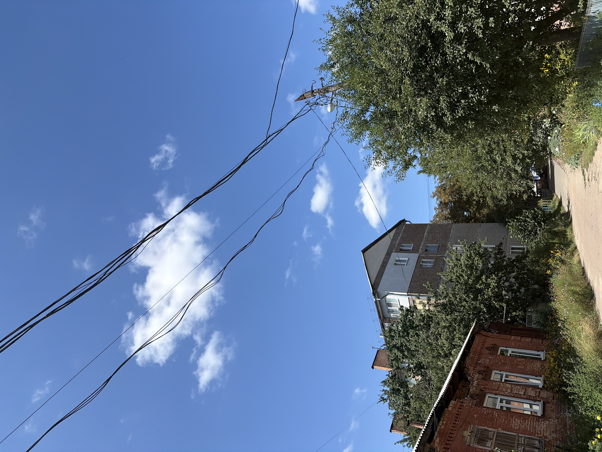 In a scene with a clear blue sky dotted with white clouds, overhead power lines traverse the frame diagonally. To the left, a weathered brick building with boarded-up windows and white-trimmed panes stands partially obscured by greenery. Adjacent to it, a taller apartment building with grey and brown siding rises, its upper floors visible above the trees. A dirt road curves through the scene, bordered by lush vegetation and wild flowers. On the right, a large, leafy tree dominates the foreground, with a utility pole carrying more wires and a street lamp visible among its branches. The overall impression is of a slightly overgrown, lived-in urban or suburban landscape on a bright day.