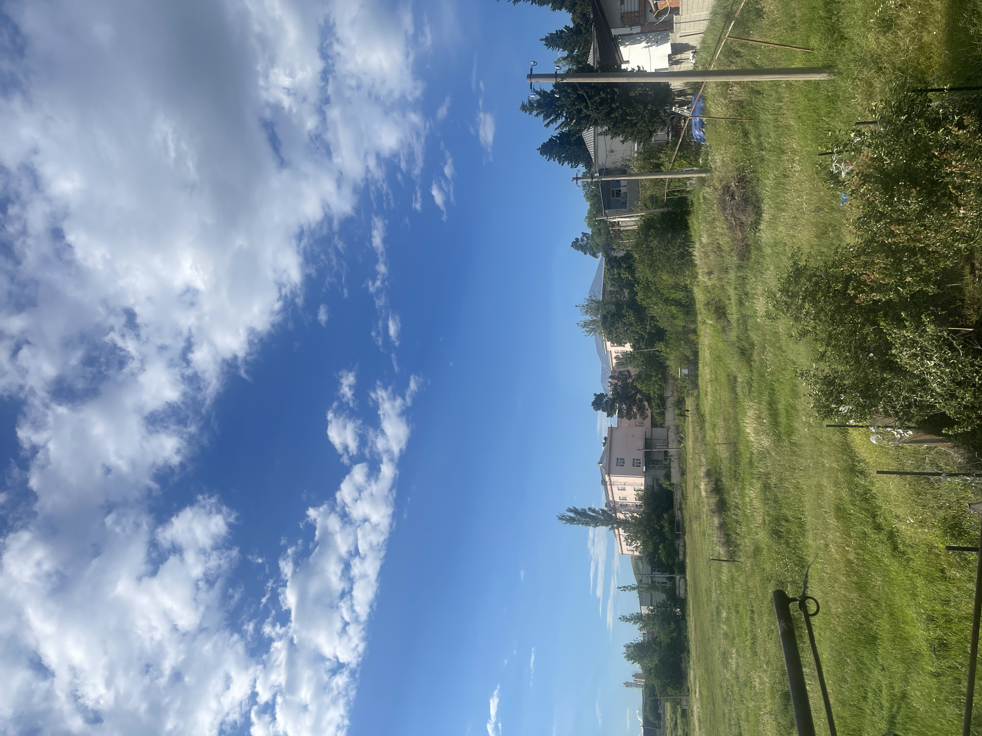 A wide, eye-level, outdoor shot captures a slightly overcast day in Tbilisi, Georgia. The sky is a vibrant blue, dotted with fluffy white clouds, filling the top half of the frame. Below, a green, overgrown field stretches across the middle ground, with tall grass and scattered wildflowers. In the distance, a light pink building with multiple windows stands out against a line of trees. A few more buildings are visible, partially obscured by the foliage. Several utility poles with wires are positioned throughout the scene, adding to the residential feel. The foreground is dominated by a metal railing, partially obscuring a lush green bush with red berries. The overall impression is one of a semi-rural landscape on a pleasant day.