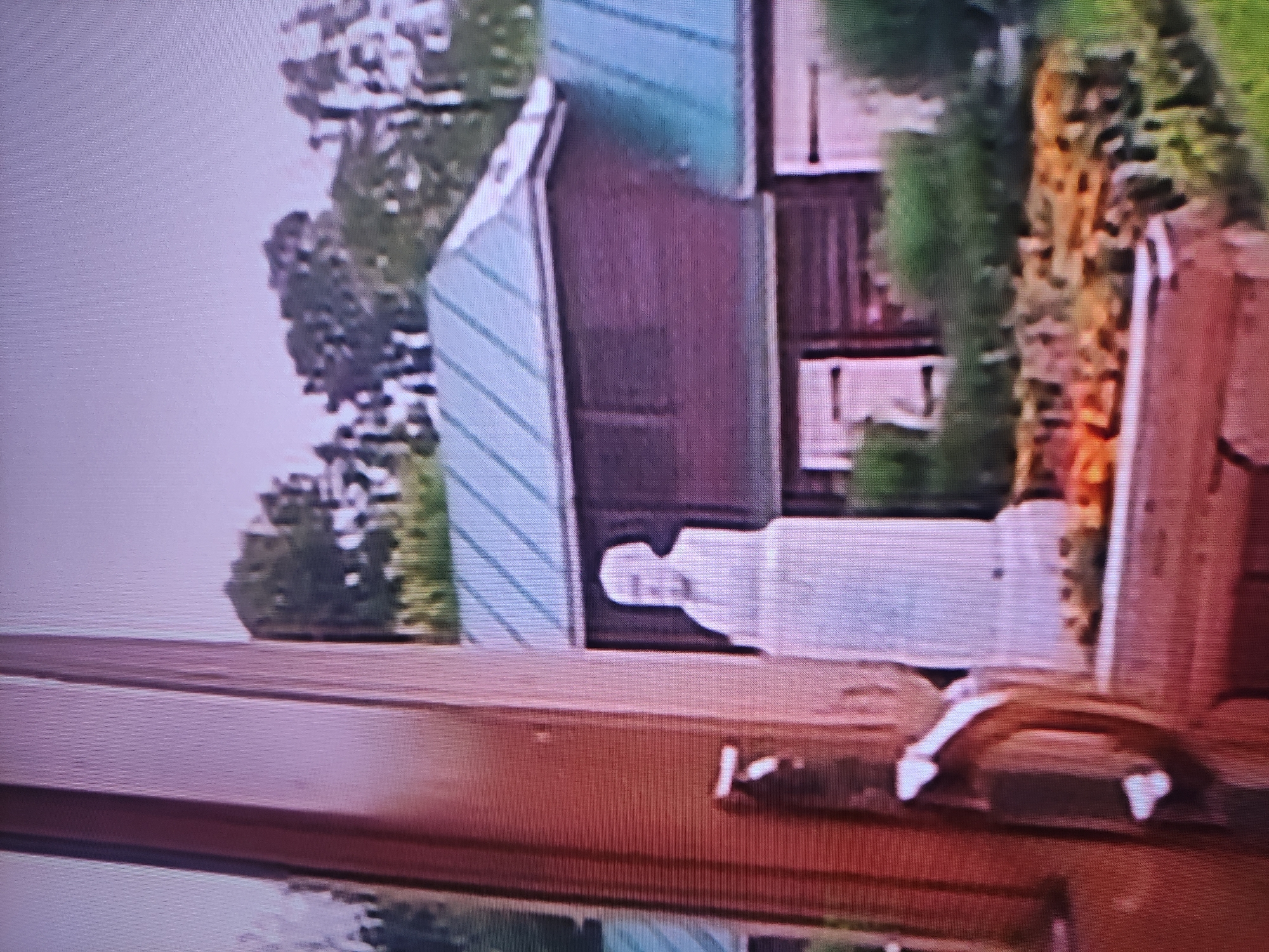 The image shows an exterior shot of a building taken from a window. The building appears to be of modest size and architecture. There is a statue of a person in front of the building. Green trees are present in the background. The location in the city of Pavlodar, Kazakhstan is not verifiable from the provided image. The image includes a window sill with a handle.