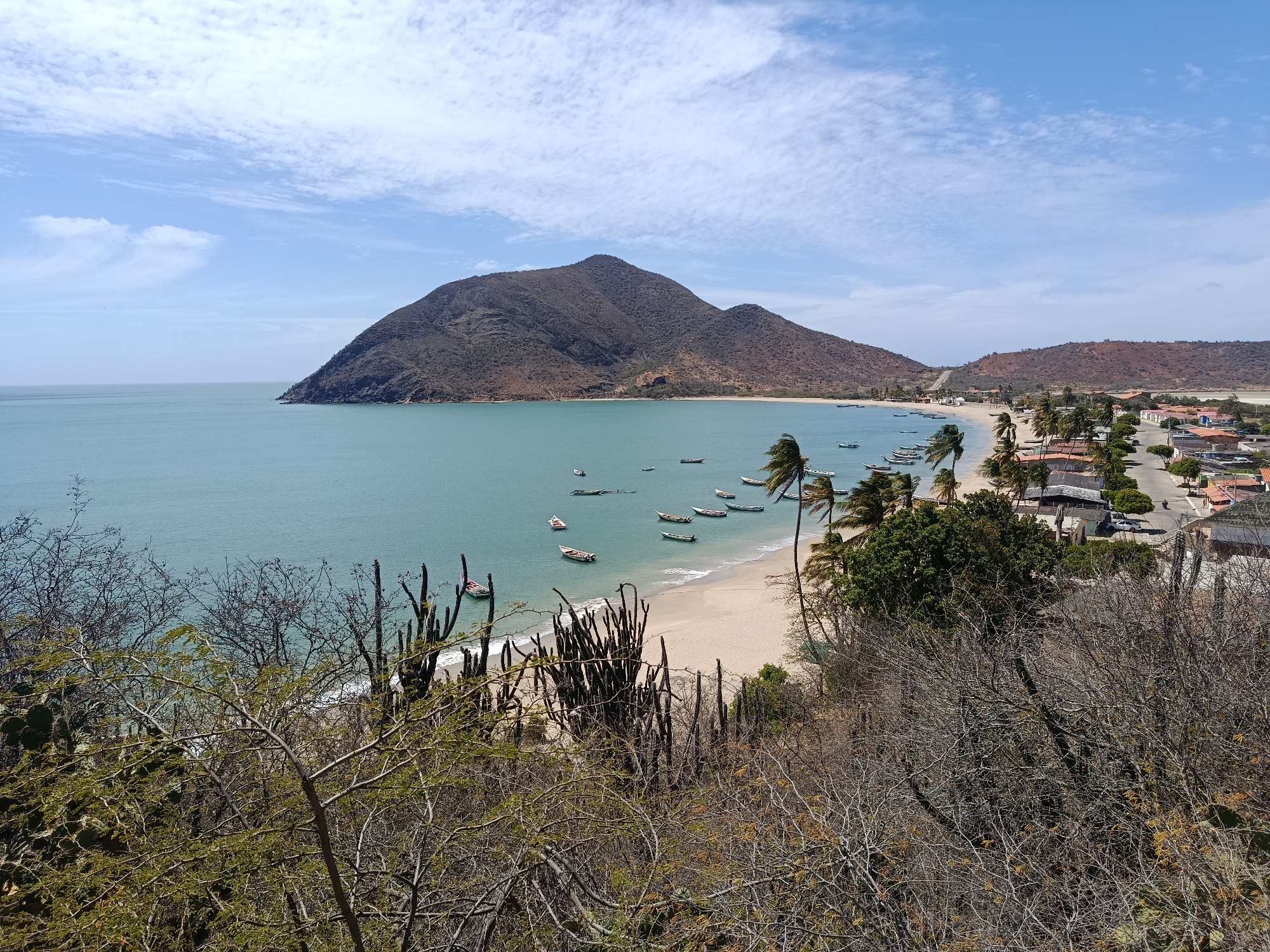 The image presents a panoramic view of Juan Griego, Venezuela, featuring a coastal scene with a prominent mountain in the background. The sky is partly cloudy with a blue hue. The sea is turquoise and calm, dotted with several small boats at anchor. A sandy beach stretches along the coastline, fringed with palm trees and vegetation. A small town is visible to the right, with houses and streets laid out in a grid pattern. The foreground consists of dry vegetation, including trees and cacti, indicating a semi-arid environment. No people are visible in the image.