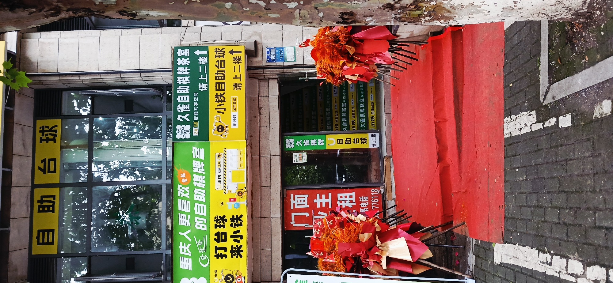 The image shows the exterior of a business located in Jiulongpo District, Chongqing, China. Signs in front indicate the business offers self-service chess, card games, and billiards (pool). The signs feature the name "Jiuque" and "Xiaotie" prominently. One sign includes a phone number: 776118. In front of the entrance is a red carpet with bundles of red and gold decorations, seemingly for an opening or celebratory event. The address "Changda Road, No. 1 Yue 23" is visible on a blue sign. The street in front is paved with dark bricks and has white painted markings. A tree trunk is visible in the upper part of the frame. The building has windows with black frames. The signs indicate that the services are located on the second floor.