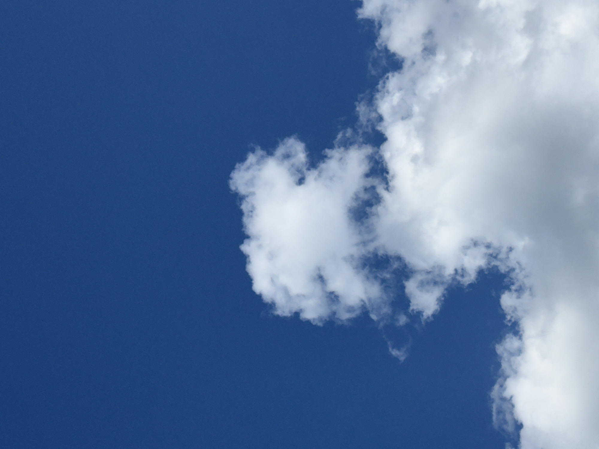 A vertical, eye-level shot captures a vast expanse of deep blue sky, transitioning to a bright, hazy white toward the bottom. A few fluffy white clouds dot the scene, with larger, more substantial clouds dominating the lower portion of the frame. The image appears to be an outdoor scene, likely taken during the day in the city of Arzyanka, Russia, given the clear skies often experienced there. There are no people or objects visible in the photograph, only the natural elements of sky and clouds.