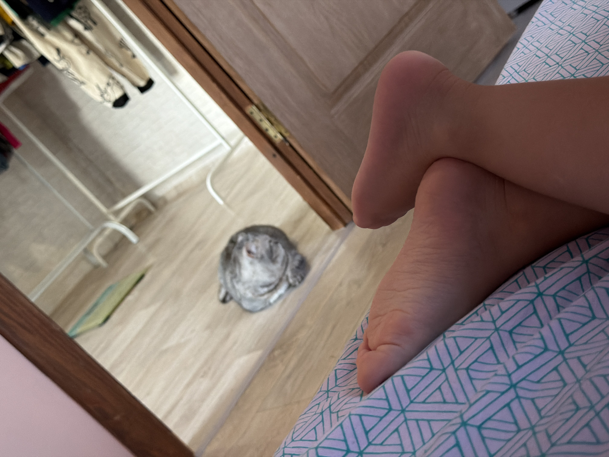 The image depicts an indoor scene, likely a bedroom in Chaikovsky, Russia, viewed from a first-person perspective. In the foreground, the bare feet and lower legs of a person are visible, resting comfortably on a bed. The bedding features a light blue and white geometric pattern.
The central part of the image shows a mirror's reflection of another section of the room. On a light wooden floor, a small, light grey animal, possibly a cat or chinchilla, is curled up and appears to be resting or looking upwards. Near the animal, a small, light green rectangular object, resembling a book or a phone, lies on the floor. To the left in the reflection, out-of-focus clothing hangs on a rack or inside a closet. A wooden door with a visible brass hinge is also reflected.
The activity taking place is a person relaxing on a bed while observing their surroundings, including a pet. The scene conveys a calm and domestic atmosphere. The time of day is not specified but suggests ambient indoor lighting. No text is visible in the image.
