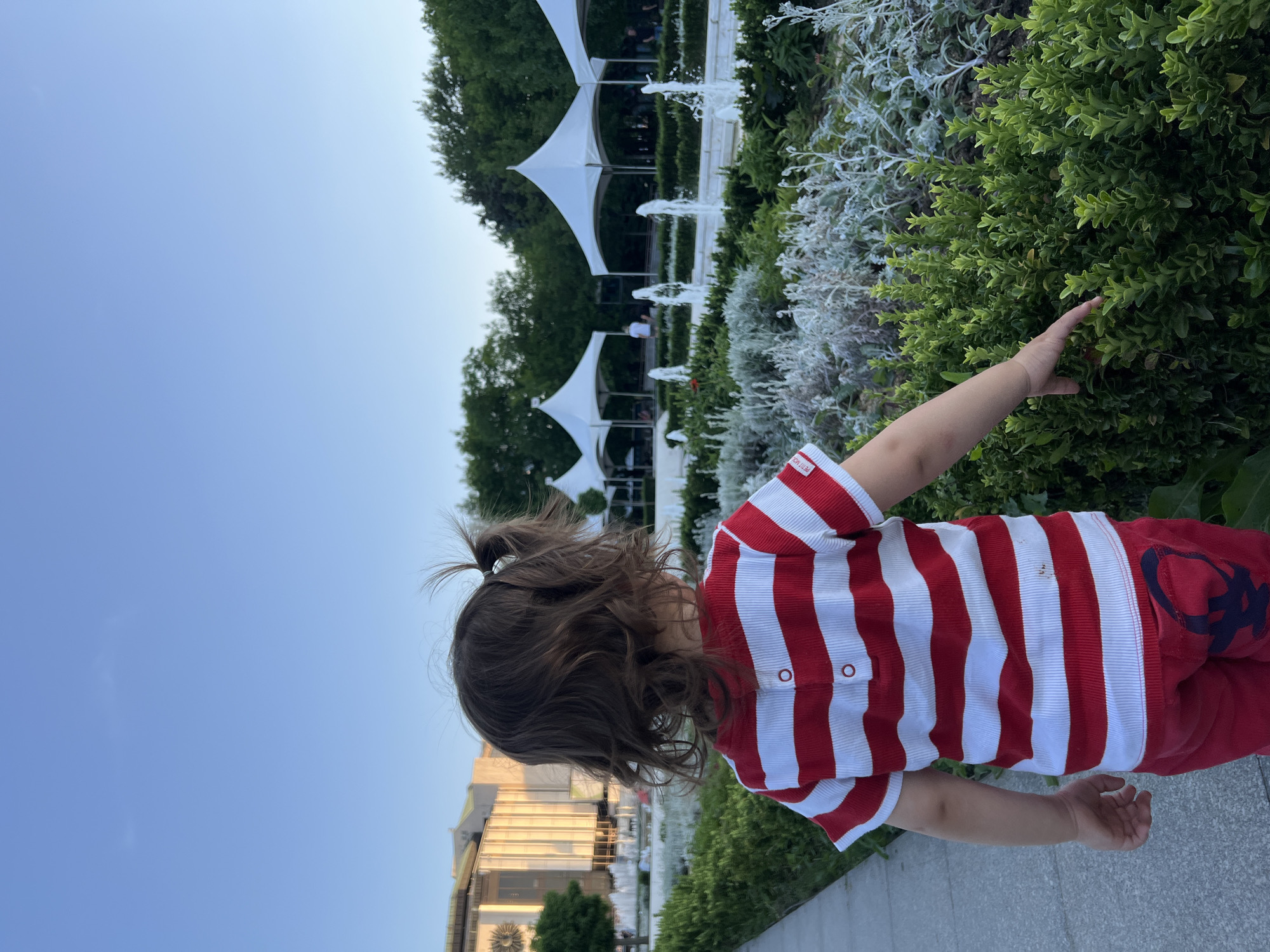 In the city of Unknown, Unknown, a young child, viewed from behind, stands on a paved walkway. The child has curly brown hair styled into two pigtails and is wearing a red and white striped t-shirt and red pants. The child's right hand is extended, touching a well-maintained green hedge. In the background, a row of white tents stands behind a garden with several fountains spraying water. Further in the distance, a large, light-colored building with rectangular windows is visible. The sky above is clear and blue.