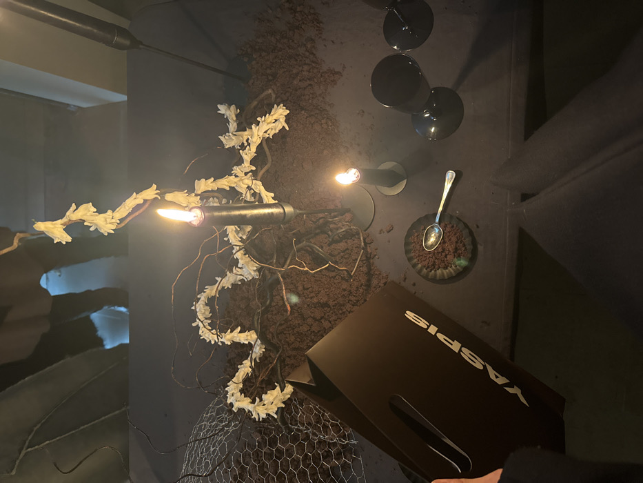 The image depicts a dimly lit table or display setup, likely during an event at a Yaspis Atelier location in Paris, France. The surface is partially covered with dark brown granular material resembling soil or coffee grounds, interspersed with bare branches and a winding garland of small, light-colored, bell-shaped floral elements. A piece of metallic chicken wire is visible on the left side of this naturalistic display.
Two lit candles in dark, cylindrical holders provide the primary illumination; one taller, centrally located, and a shorter one to its right. To the lower right, a small, dark, fluted dish holds a portion of the granular material and a silver spoon, indicative of a dessert serving. Three dark-stemmed glasses are positioned further to the right. A dark paper bag with "YASPIS" printed in light letters is held by a person's hand in the lower left foreground. Part of a person's leg, clad in dark trousers, is visible in the lower right, and indistinct reflections of individuals are present in the dark background.