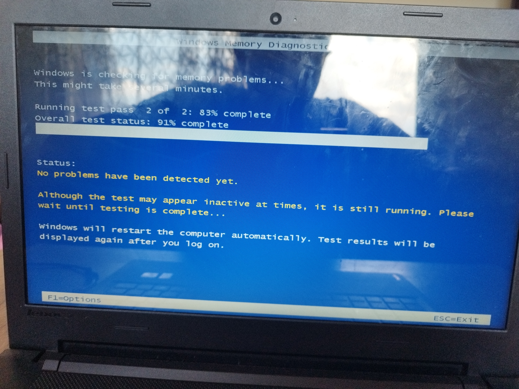 The image shows a laptop screen displaying the Windows Memory Diagnostic tool. The tool is running test pass 2 of 2, at 83% completion, with an overall test status of 91% complete. The status message indicates that no problems have been detected yet. The screen also informs the user that the test may appear inactive at times but is still running, and that the computer will restart automatically with the test results displayed upon logging on. The function key F1 is assigned to Options, and the Escape key (ESC) exits the tool. The image is taken close-up, focusing on the laptop screen, so the surrounding environment is not visible.