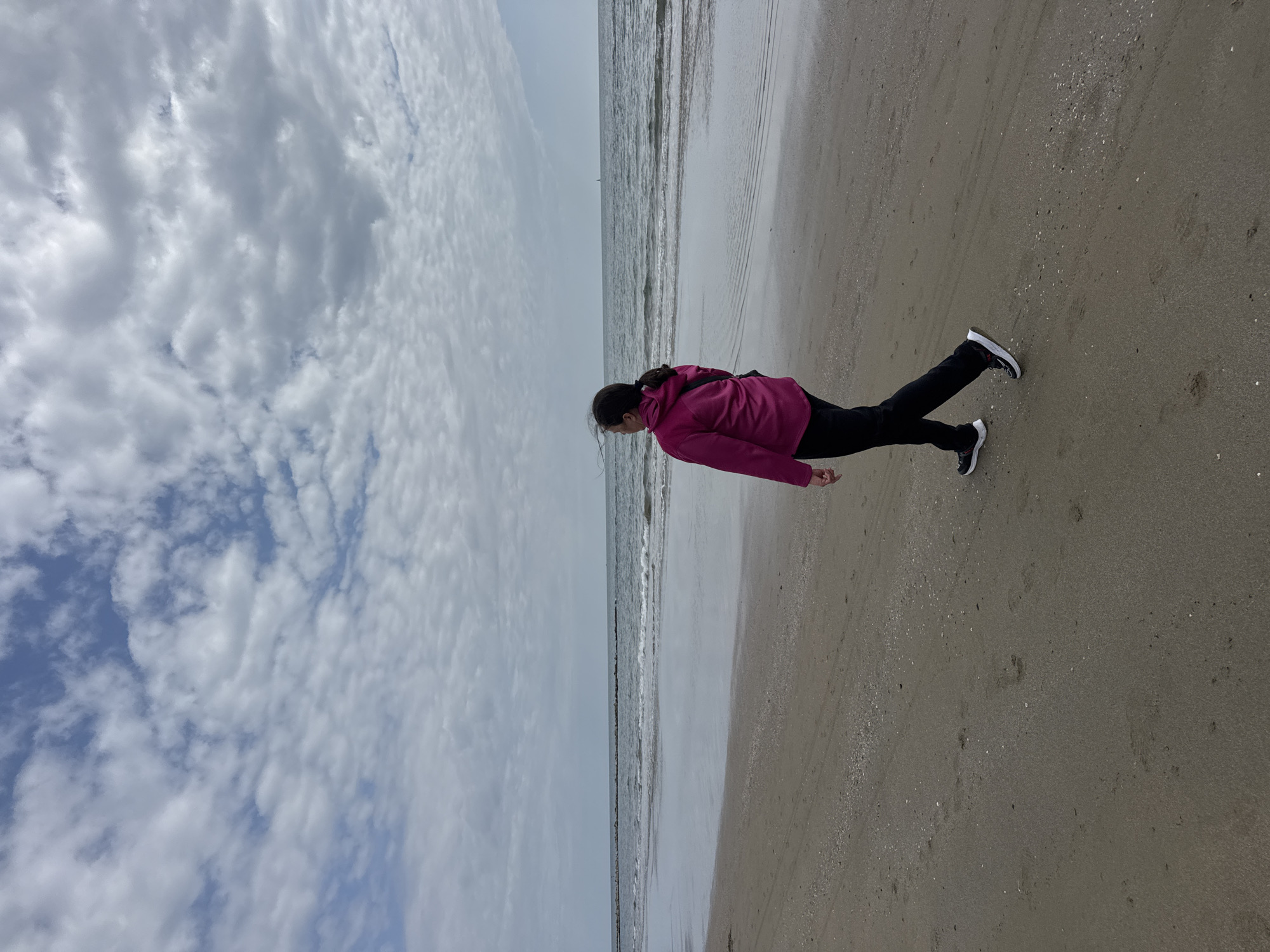 An outdoor, full-length shot captures a person walking or standing on a sandy beach next to the sea under an overcast sky. The image, originally rotated 90 degrees, shows the individual standing upright, facing the ocean.
The primary subject is a person, likely female, with dark hair tied back, wearing a bright pink hooded jacket, black pants, and athletic shoes with white soles. She is positioned slightly to the right of the frame, looking out towards the water.
The scene depicts a coastal environment, characteristic of Nettuno, Italy. The foreground features damp, light brown sand with scattered small shells and a few footprints. Gentle waves are visible breaking along the shoreline, creating a foamy white edge where the water meets the sand. The sea extends to the horizon under a vast sky.
The sky is largely covered with a mix of white and grey stratocumulus clouds, though patches of blue sky are visible in places, particularly towards the left. The lighting is diffused, indicating an overcast day without direct sunlight, likely daytime. In the distant sea, a faint, dark horizontal line or structure, possibly a breakwater or a distant part of the coast, can be seen.
No visible text is present in the image. The overall impression is one of a quiet, reflective moment by the sea on a cloudy day.