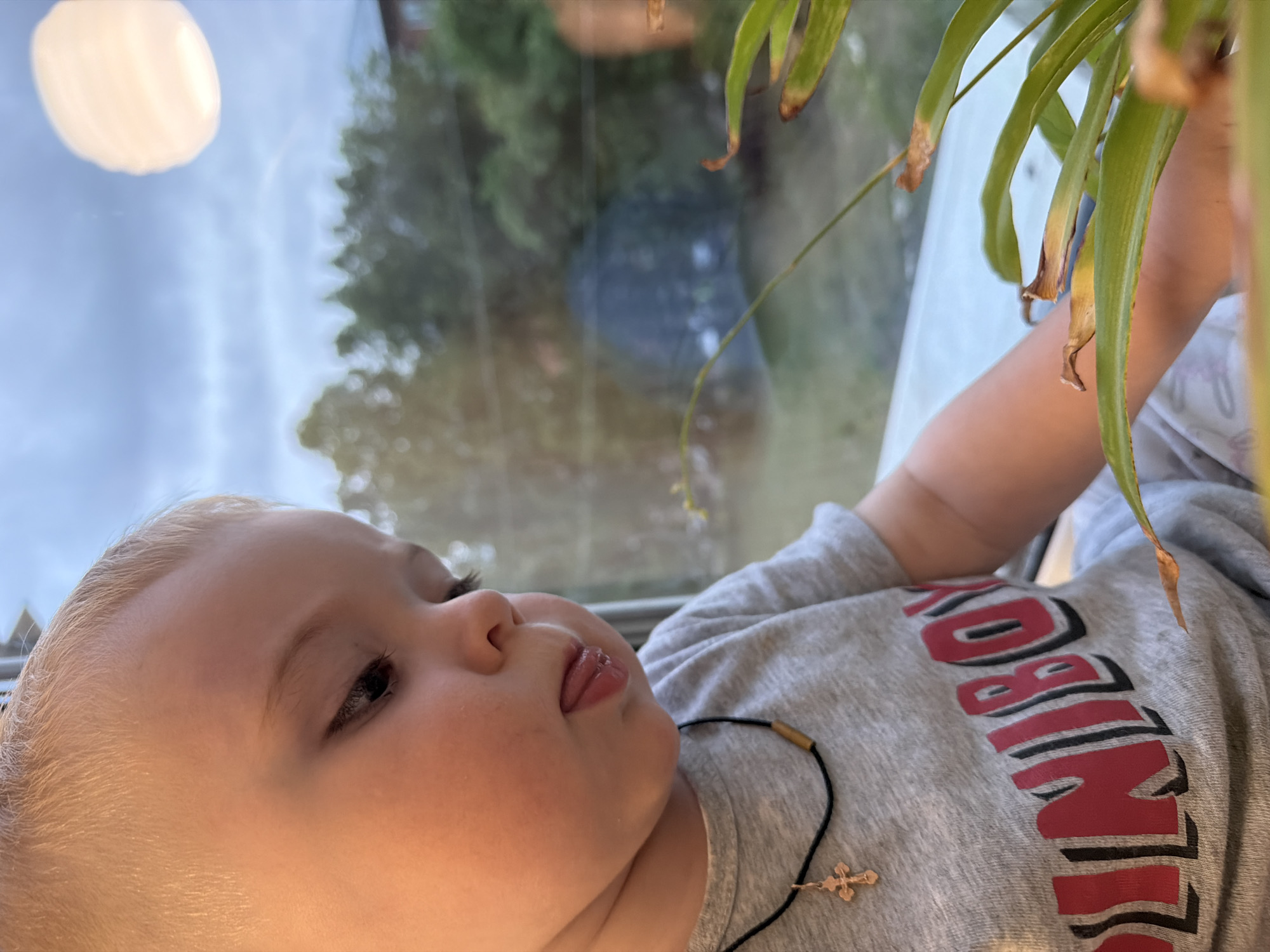 The image shows a fair-skinned baby lying on their back. The baby is wearing a grey shirt with red and black lettering. They also wear a black cord necklace with a small gold cross pendant. The baby's face is turned slightly to the left, with their eyes partially closed. Their tongue is slightly protruding from their mouth.
Above the baby is a potted plant with long green leaves, some of which have brown tips. The background appears to be a window with a view of trees and a bright light source. It is not possible to verify the location of the image as Votkinsk, Russia.