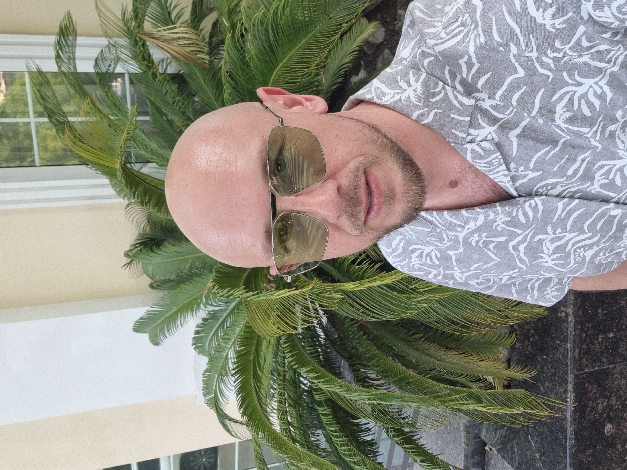 A bald adult male in his 30s or 40s is depicted in a close-up selfie taken outdoors in Sochi, Russia. He has light skin, a short, neatly trimmed brown beard, and a mole visible on his upper left chest. He wears aviator-style sunglasses with light amber-tinted lenses and a metallic frame, through which reflections of the surrounding environment are visible. His gaze is directed towards the camera. He is dressed in a light grey, short-sleeved collared shirt patterned with white silhouettes of palm trees and abstract wave-like shapes. Behind him, a dense cluster of vibrant green cycad plants forms a natural backdrop. To the left and right, parts of a building are visible, featuring cream-colored walls, a white vertical architectural element, and a multi-paned window. A dark, possibly polished stone or marble surface is present in the lower background, beneath the foliage.