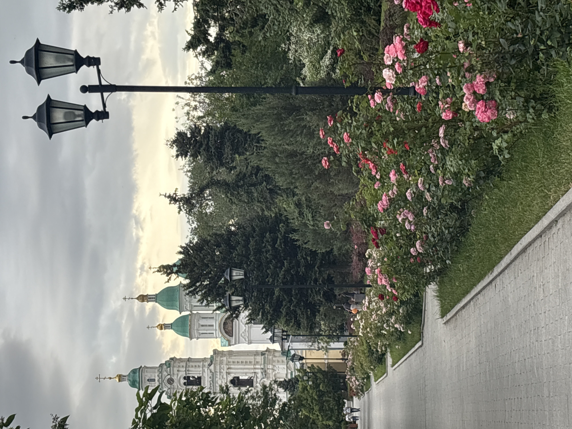 This image depicts a paved pathway in a park or garden setting within the Astrakhan Kremlin grounds in Astrakhan, Russia. The pathway, constructed from light gray interlocking pavers, recedes into the distance on the left side of the frame. It is bordered on the right by a continuous, raised concrete curb separating it from a strip of mown grass, which in turn borders extensive rose bushes.
The rose bushes, in various stages of bloom, display flowers predominantly in shades of pink, red, and white. They form a dense, green and colorful hedge lining the pathway. Beyond the rose bushes, a row of black, double-headed street lamps with ornate lantern designs are spaced along the path. One such lamp post is prominently featured on the far right, extending from the bottom to the upper right quadrant of the image.
Behind the rose bushes and street lamps, a dense collection of trees, including conifers and deciduous types, forms a green backdrop. Beyond these trees, on the upper left, are the distinct white architectural structures of Orthodox churches, identifiable as parts of the Astrakhan Kremlin complex. The most prominent structure is a tall, multi-tiered white bell tower with a green dome topped by a golden cross, featuring arched windows and a visible clock face. Further to its right and slightly behind it, other white church buildings with similar green domes and golden crosses are partially visible through the foliage.
The sky overhead is overcast with a predominant gray cloud cover, though a brighter, yellowish light is visible near the horizon, suggesting either dawn or dusk. In the distance along the pathway, several indistinct human figures are visible walking. Closer to the mid-ground, two individuals are standing near one of the street lamps on the right side of the path, facing the rose bushes. No specific actions or interactions are clearly discernible. The scene appears well-maintained and orderly.