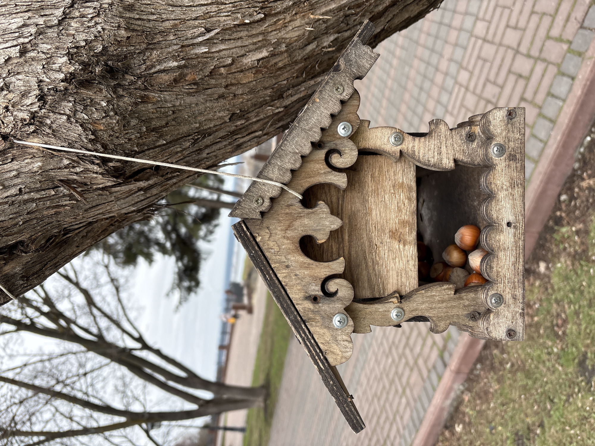 The image displays a wooden bird feeder, filled with hazelnuts, hanging from a large tree trunk in Ulyanovsk, Russia. The feeder is crafted from light-colored wood with darker accents, featuring intricate, carved decorative elements including scalloped edges and scrolled patterns on its roof and side panels. Silver screws are visible, securing the feeder's structure. Inside, a cluster of whole hazelnuts suggests it's actively used to feed local wildlife.
A robust tree trunk, characterized by its deeply furrowed, greyish-brown bark, is prominent in the upper left of the frame. A thin white string, likely serving as a hanger, is tied around this trunk and extends down to support the bird feeder.
The background reveals an outdoor setting with a paved path, constructed from reddish-brown brick-like tiles, running diagonally across the midground. Adjacent to the path is an area of green grass. Further back, blurred outlines of bare-branched trees are visible, and in the distant horizon, a large body of water can be discerned under an overcast sky. The scene appears to take place during daylight hours, possibly in late autumn or early spring given the bare trees. There is no visible text in the image.