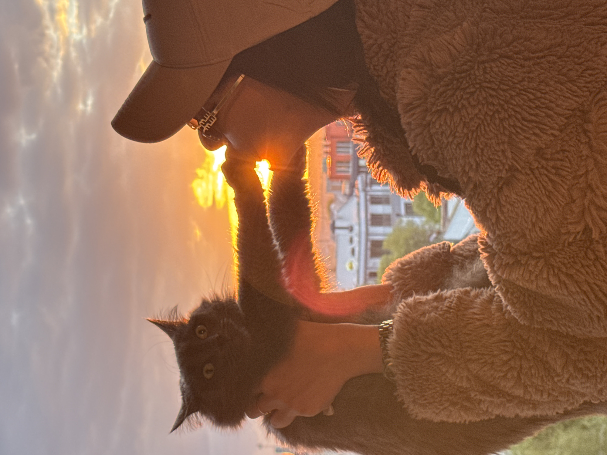 The image, when viewed upright, depicts a person holding a dark-furred cat outdoors during either sunrise or sunset in Varna, Bulgaria. The scene is dominated by a powerful golden light, indicating the time of day.
The person, visible from the head to the upper torso, wears a light-colored baseball cap and a fluffy, brown textured jacket that catches the intense backlighting, creating a radiant golden halo effect around its edges. A pair of sunglasses, featuring metallic arms with a distinctive stylized geometric pattern, rests on the person's cap. A watch or bracelet with a metallic band is visible on their right wrist, and a simple ring adorns a finger of the hand gently cradling the cat.
The cat, with dark gray or black fur, looks directly at the camera with wide, alert eyes, its fur also illuminated by the golden light, giving it a fluffy, glowing outline. Its front paws are held by the person.
The background features a vibrant sky filled with the warm hues of the sun, which appears as a brilliant, almost blinding, light source near the person's head. Scattered clouds are visible, reflecting the golden glow. Below the horizon, parts of a cityscape are discernible, including buildings, one with hints of red or orange facades, suggesting an urban environment consistent with Varna. Some green foliage is also present in the mid-ground. The strong backlighting creates a dramatic effect, emphasizing the silhouettes of the subjects against the brightly lit sky and highlighting textures. The overall impression is one of warmth, intimacy, and beauty, capturing a tender moment between pet and owner under a striking natural light display.