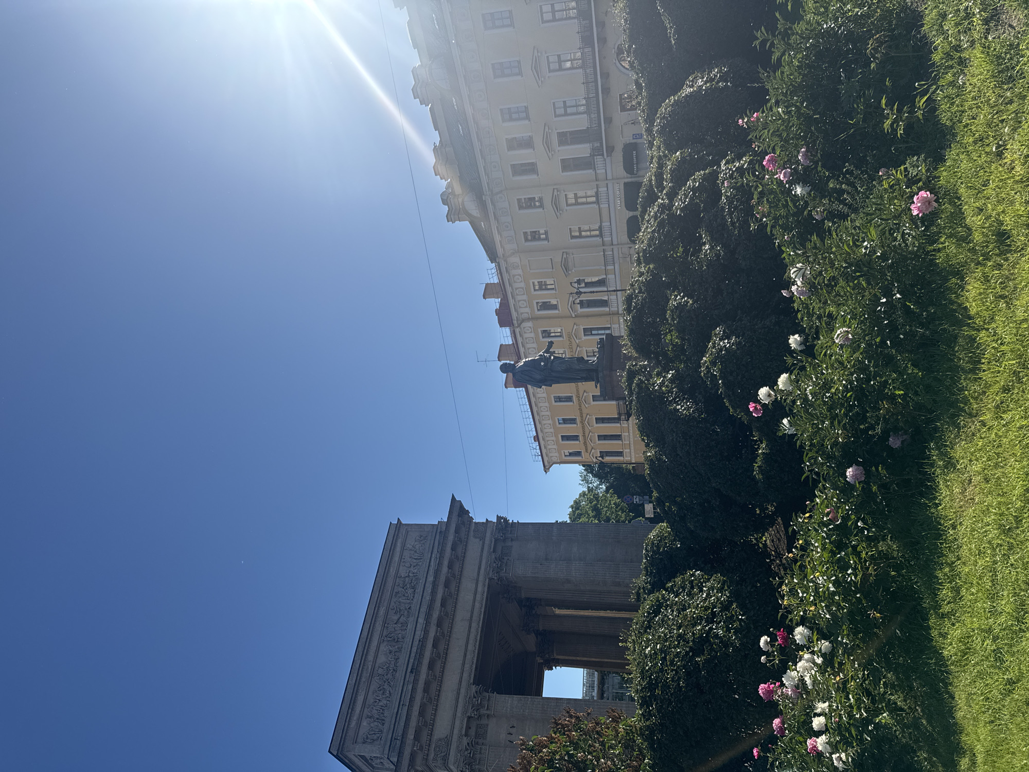 The image shows a bright, sunny day in Saint Petersburg, Russia. The scene is a park or garden area in front of ornate buildings. In the foreground, there is a well-maintained lawn and a large bush with blooming pink and white peonies. Behind the flowers, a dark green hedge forms a backdrop.
Further back, a statue of a person in classical attire stands on a pedestal, silhouetted against the bright sky. Behind the statue, a yellow building with numerous windows and classical architectural details can be seen. To the left of the yellow building, a grand stone structure with columns and intricate carvings is visible. The sun is high in the sky, casting a bright glare and lens flare on the left side of the image. The clear blue sky suggests fair weather. The overall impression is one of urban beauty and pleasant weather.