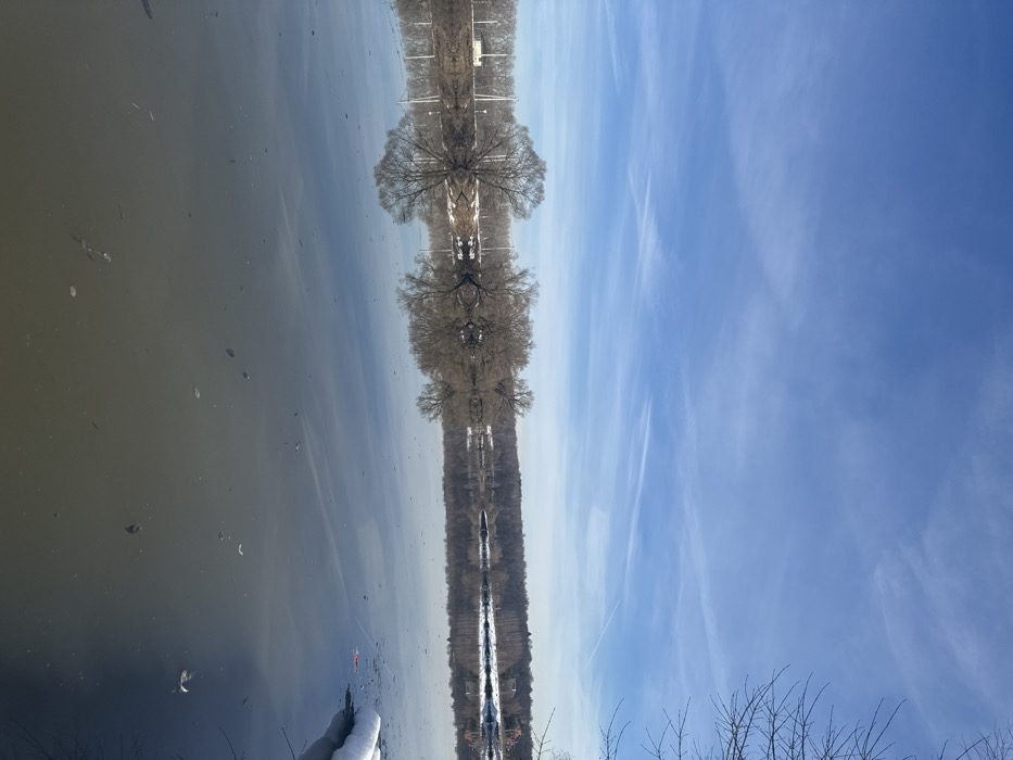 The image depicts an outdoor waterscape, consistent with a late winter or early spring scene in Ям, Russia. The upper third of the frame shows a clear blue sky marked by sparse cirrus clouds and multiple faint, linear contrails.
The central and lower portions of the image are dominated by a calm body of water, likely a river, exhibiting a smooth, reflective surface that mirrors the sky and the opposing bank. The water's surface in the immediate foreground contains scattered dark organic debris, primarily leaves, along with several small, irregular white fragments consistent with ice or snowmelt. Along the right edge of the water, several distinct patches of snow are visible.
The far bank, visible across the mid-ground, presents a varied landscape. On the left, a series of light-colored utility poles extend horizontally, with a distant, low-profile light-colored structure partially visible beyond them. The central portion of the far bank features several large, bare deciduous trees with complex branching structures, their forms clearly reflected in the water below. The ground beneath these trees shows areas of patchy snow cover. To the right, the bank transitions into a denser forested area, also partially covered by snow, with a faintly visible reddish-roofed structure situated within the treeline. The extreme right foreground is partially obscured by the bare, dark branches of an unidentifiable tree or bush. No human figures or active interactions are present in the scene.