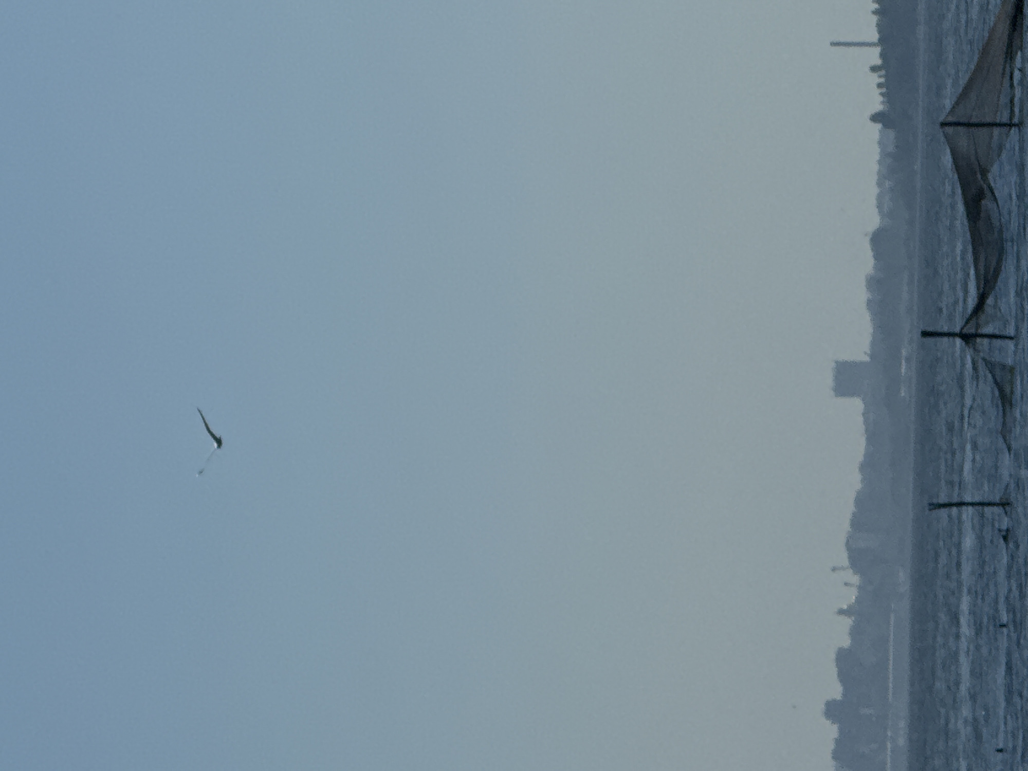 The image depicts a view of a body of water, possibly a lake or sea, with a cityscape visible in the background along the right side of the frame. Several net-like structures stand in the water near the shore. A bird, silhouetted against the pale blue sky, flies at the left of the frame. The scene seems to have been taken in Konstantinovo, Bulgaria, which is a city in that country.